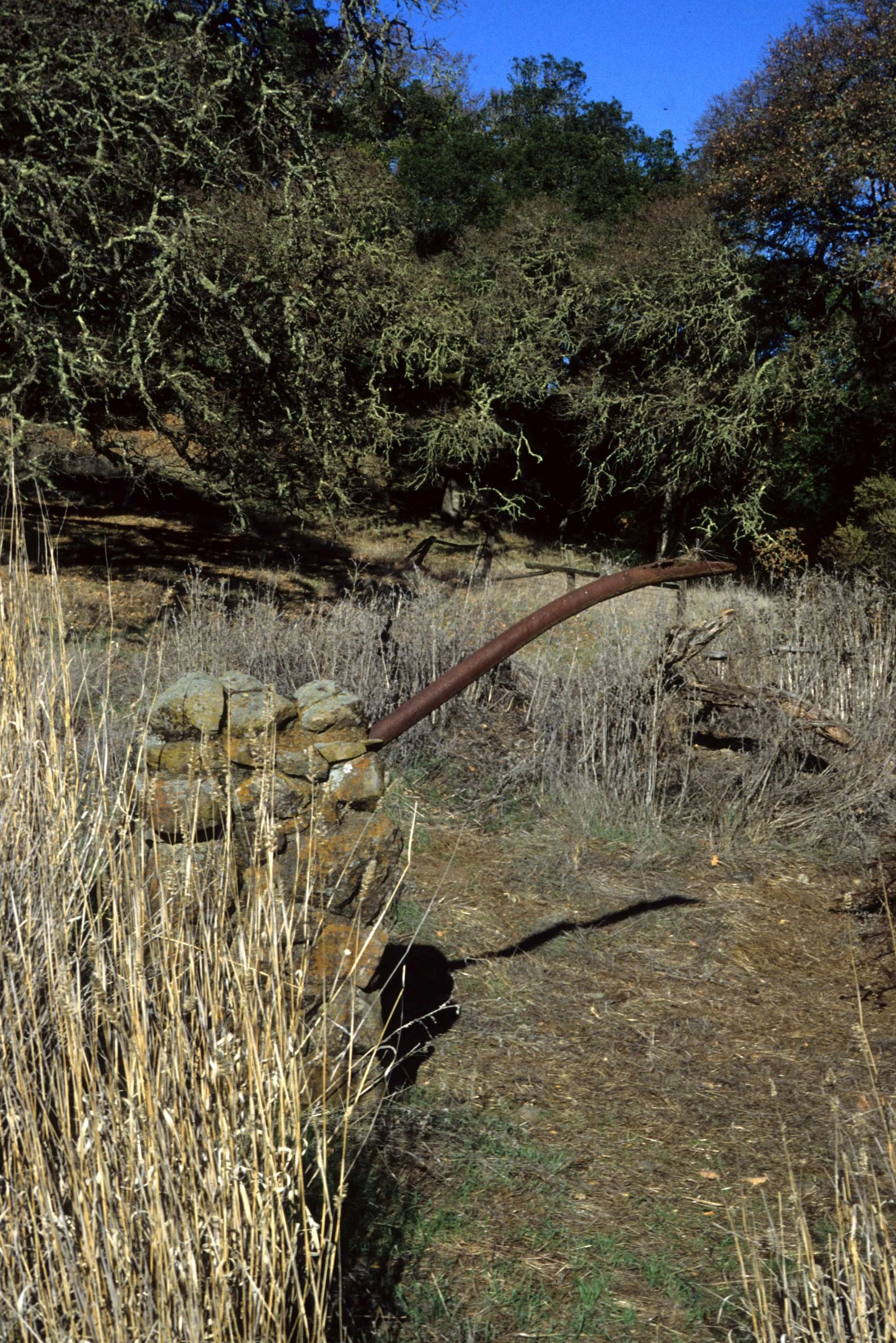 CALIFORNIA - JACK LONDON SP (4).jpg