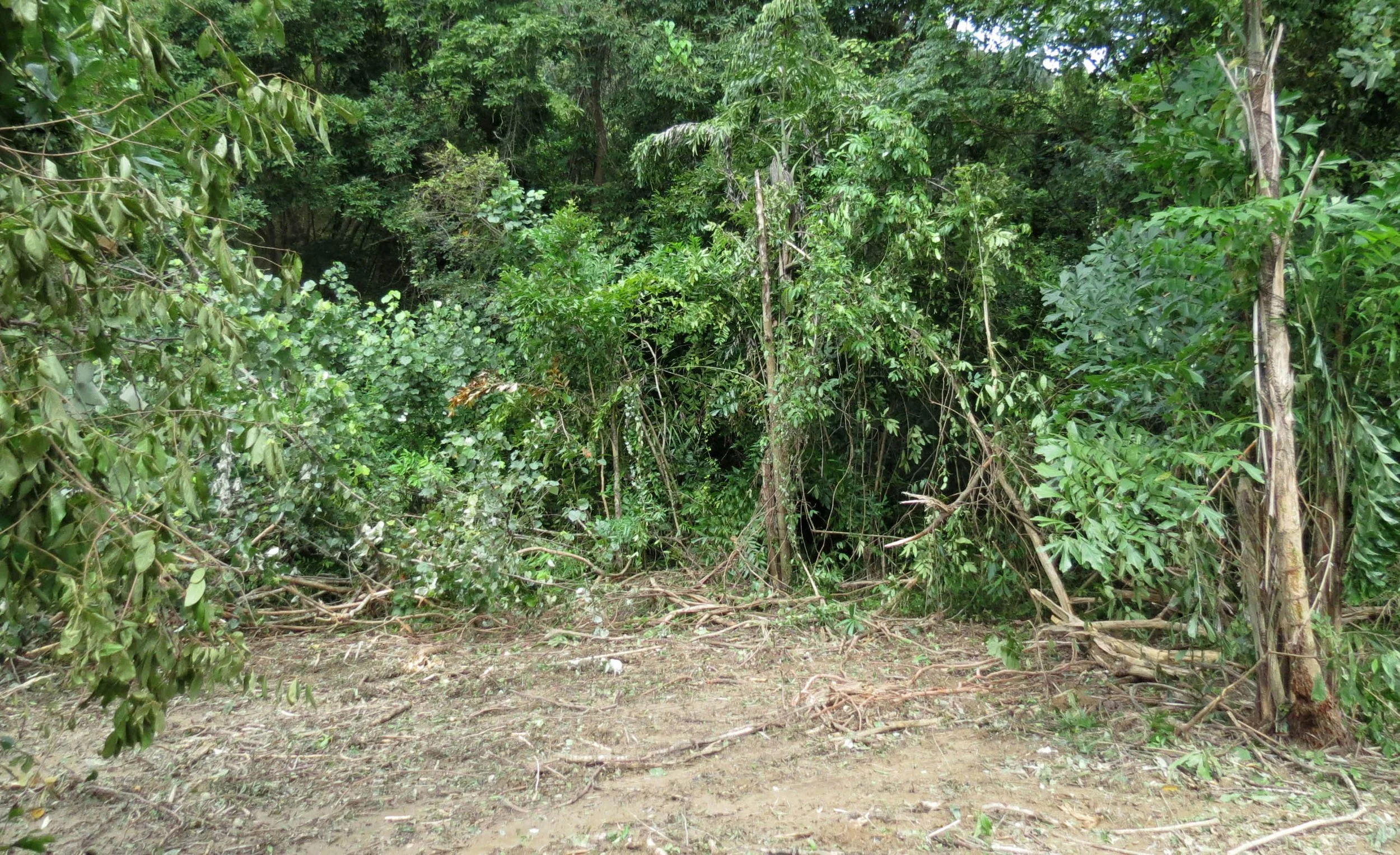 2014 Koh Lanta Build (25).JPG