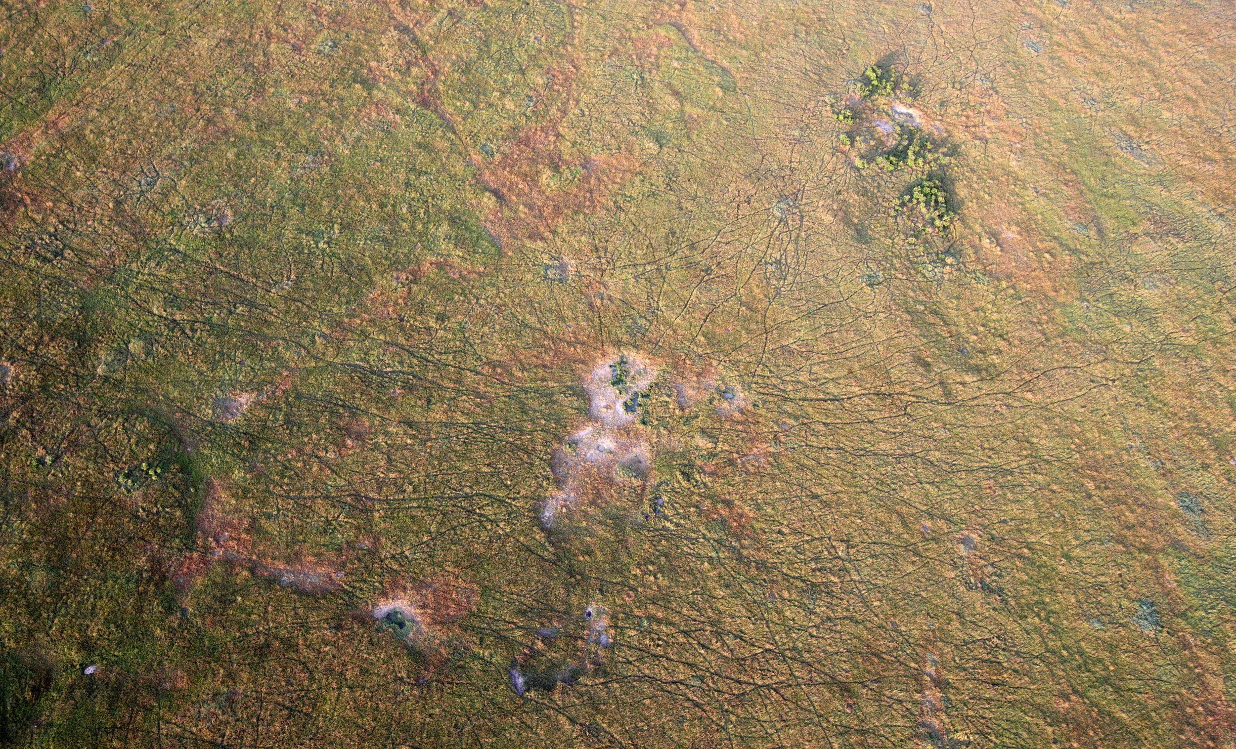MASAI MARA NATIONAL PARK KENYA (117).JPG