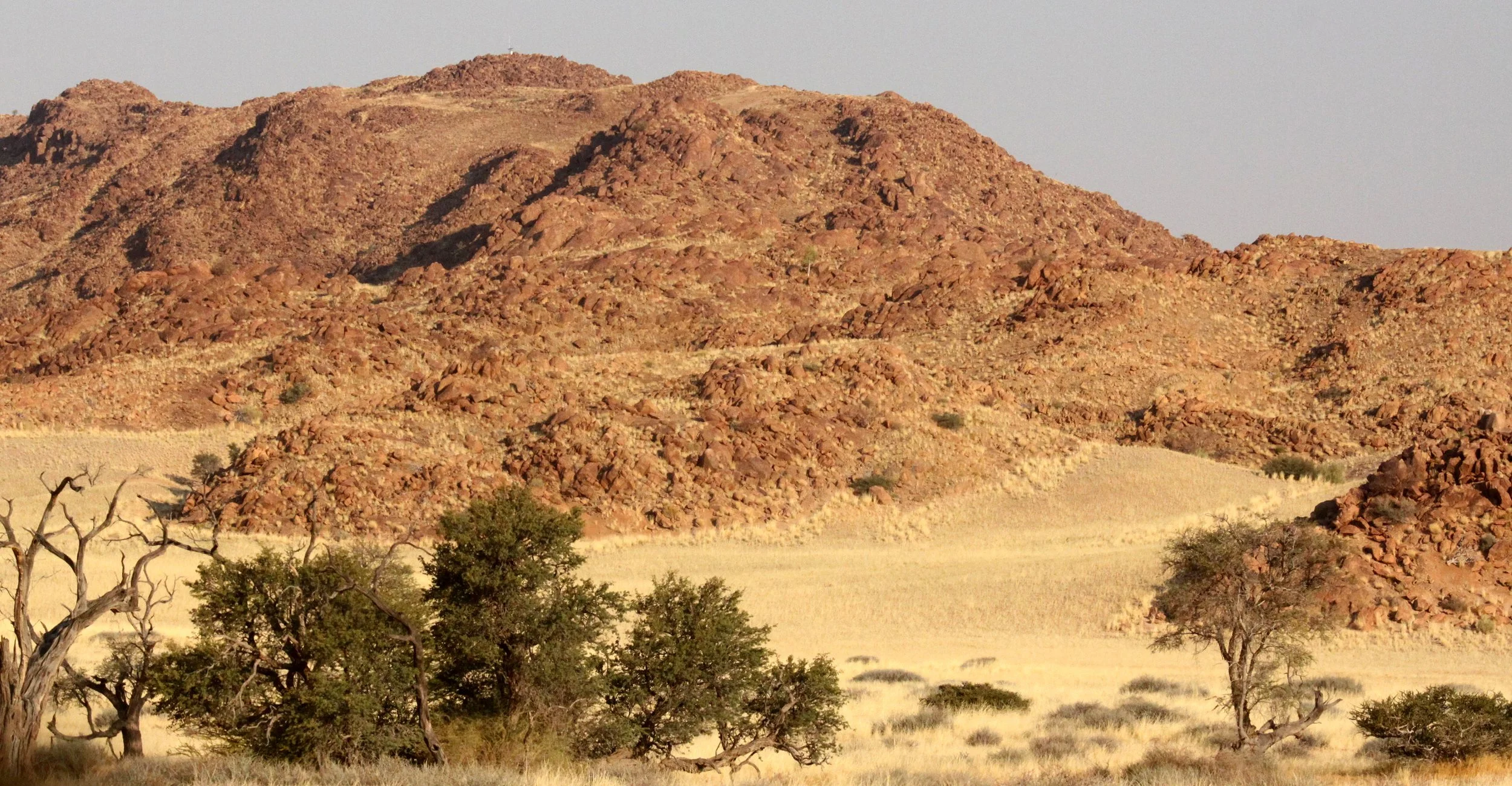 SOSSUSVLEI, NAMIB NAUKLUFT NATIONAL PARK, NAMIBIA (59).JPG