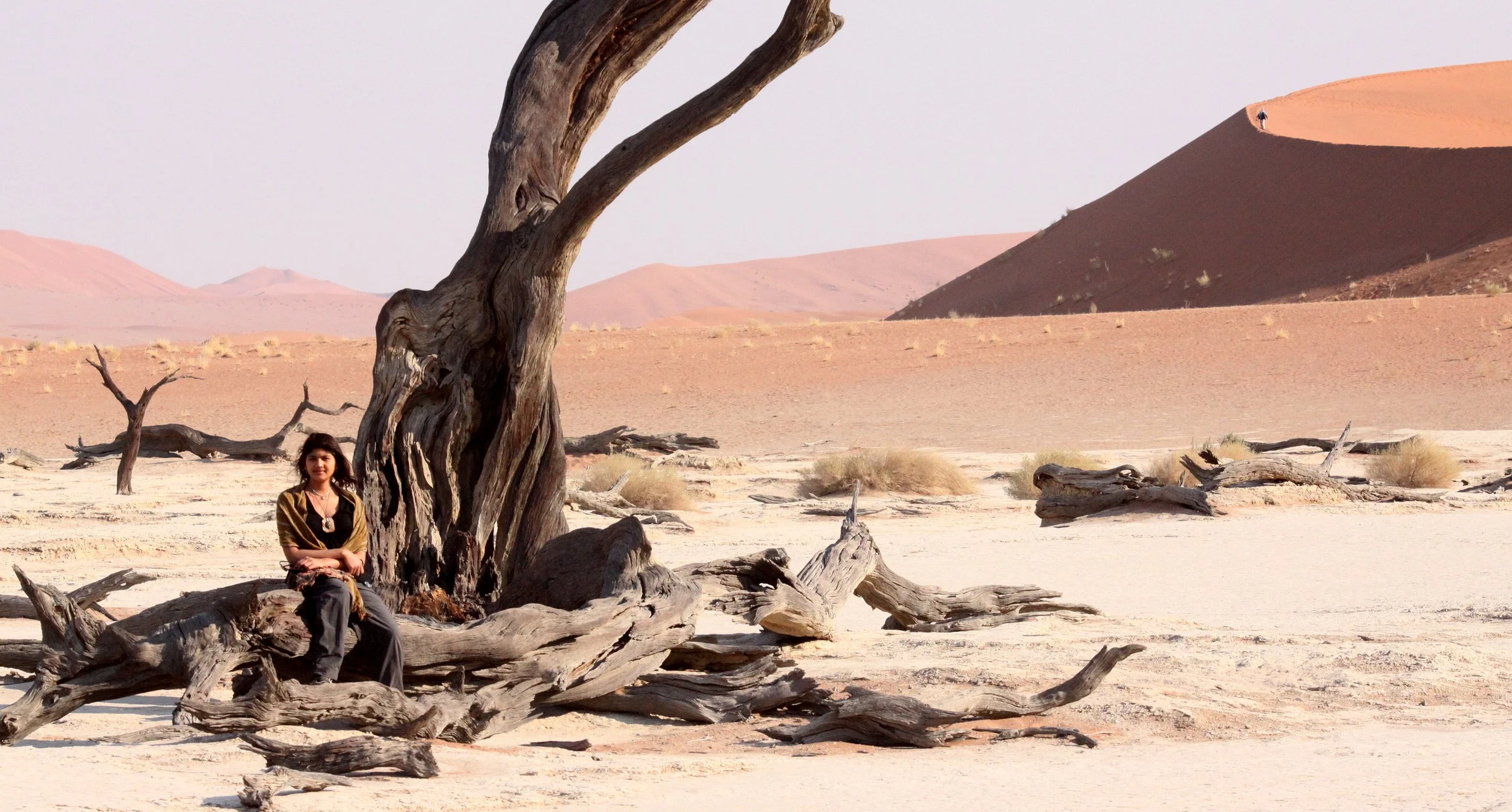 SOSSUSVLEI, NAMIB NAUKLUFT NATIONAL PARK, NAMIBIA - DEAD VLEI (36).JPG