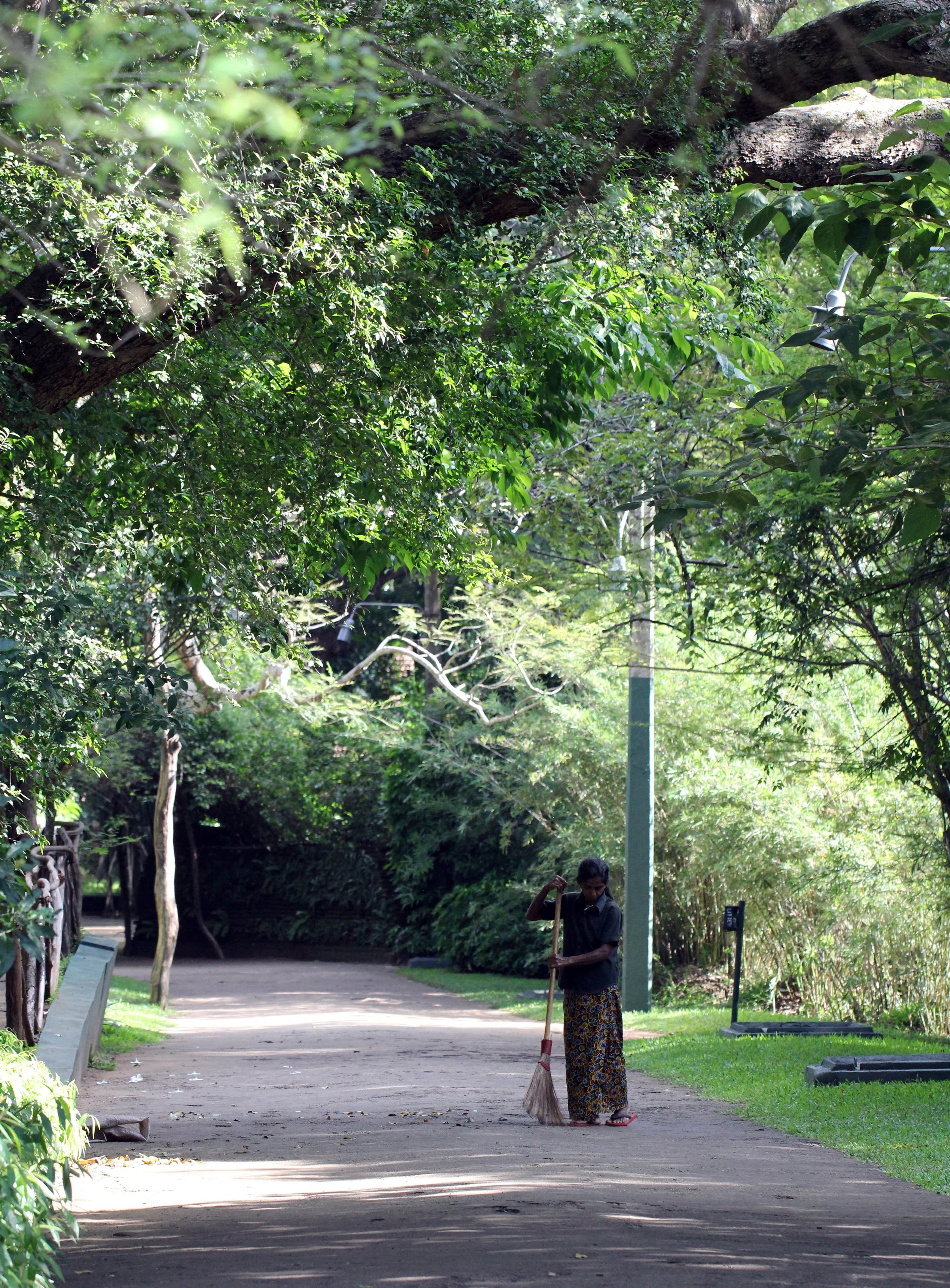 SIRIGIYA FOREST AND FORTRESS AREA SRI LANKA - PHOTO BY SOM SMITH (58).JPG