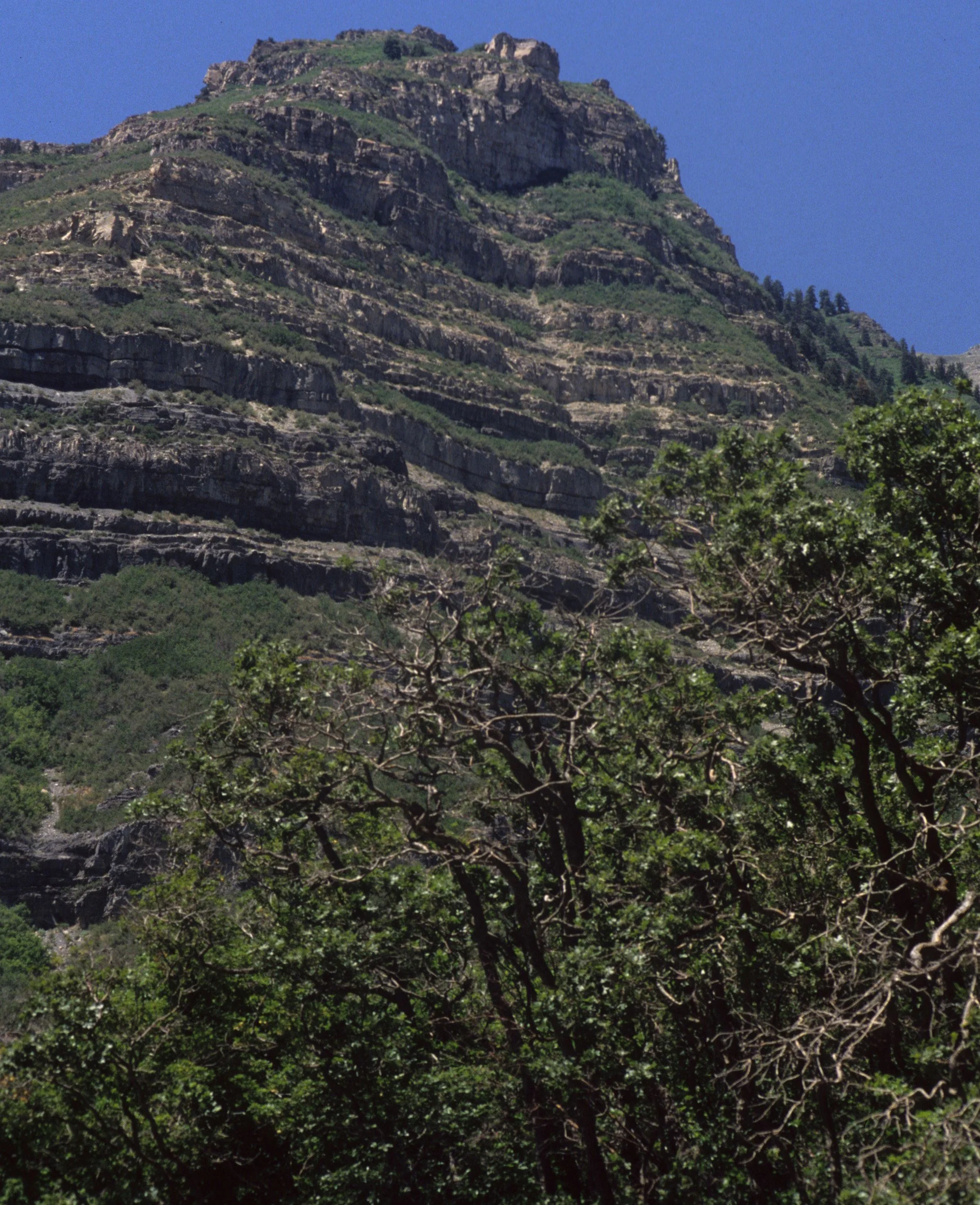 GREAT BASIN NP - MOUNTAIN.jpg