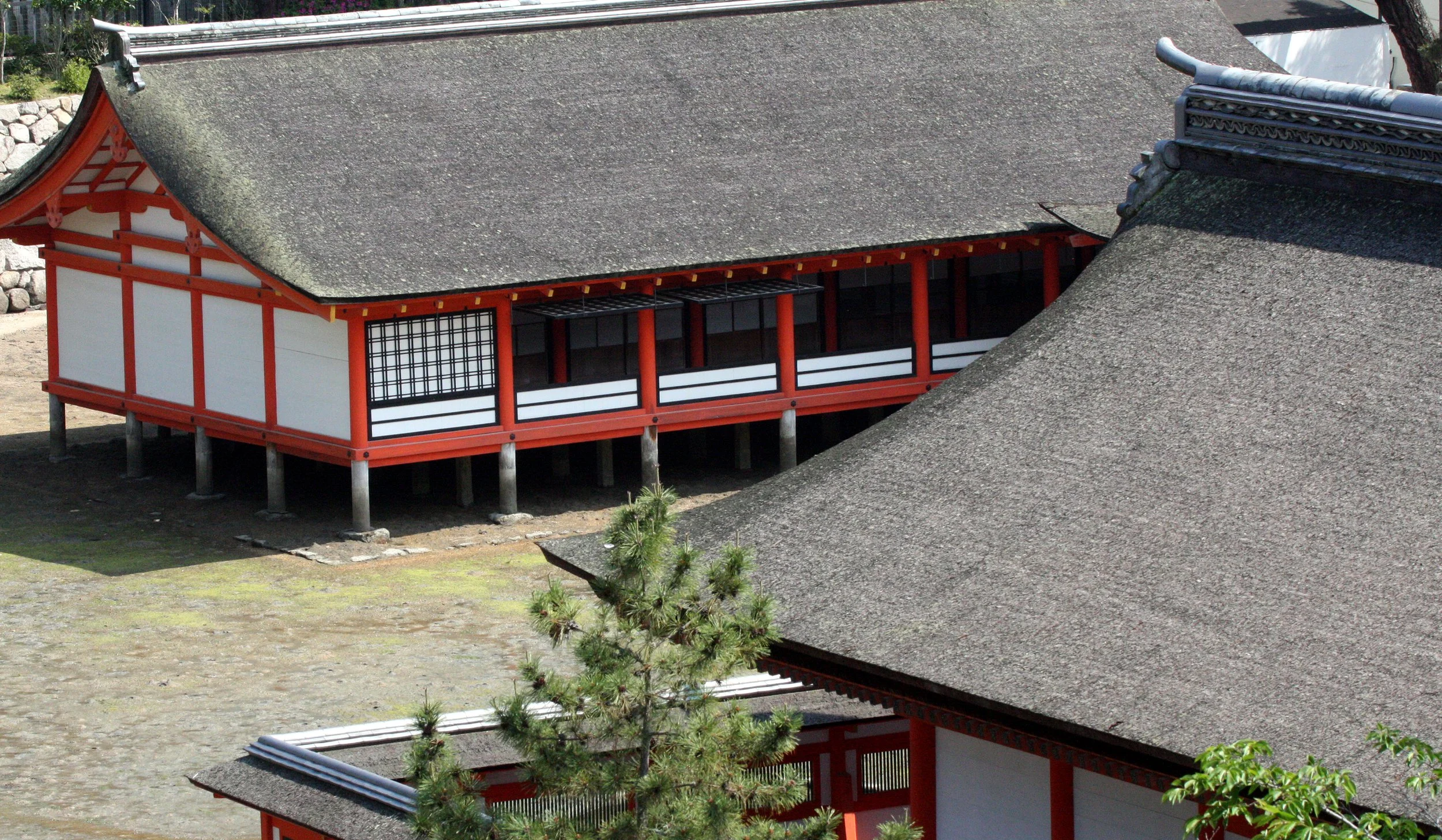 MIYAJIMA - MAY 2009 - SCENES AND LANDSCAPES (64).JPG