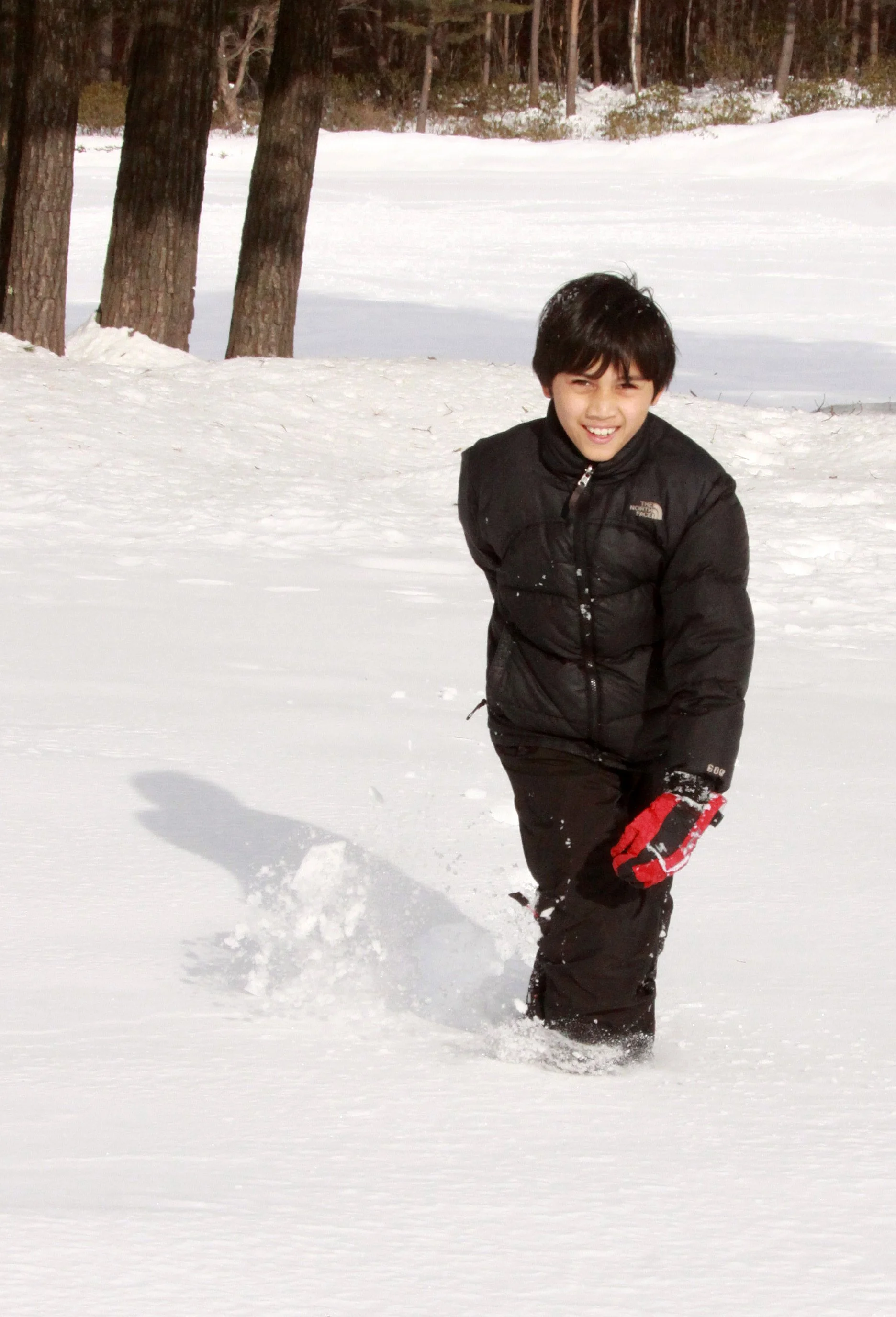 MOUNT ASAMA - JOSHIN'ETSUKOGEN NATIONAL PARK JAPAN (47).JPG