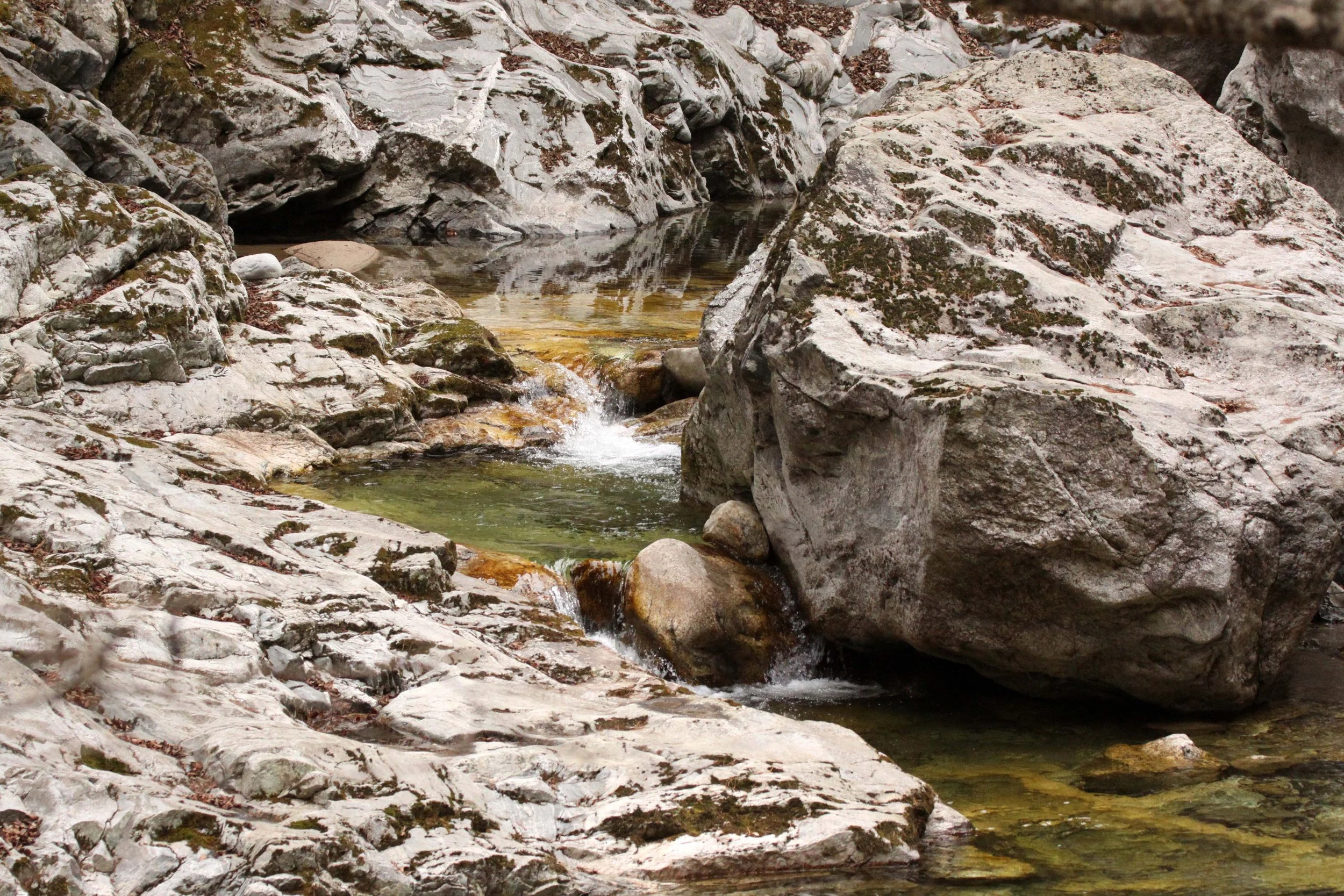 FOPING NATURE RESERVE - SHAANXI PROVINCE CHINA (102).JPG