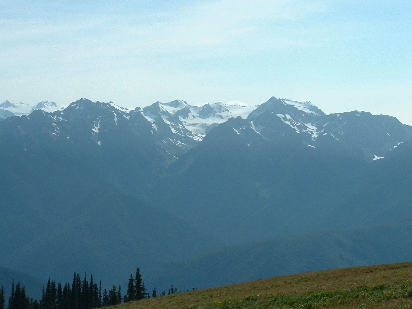 Hurricane Ridge, Olympic National Park