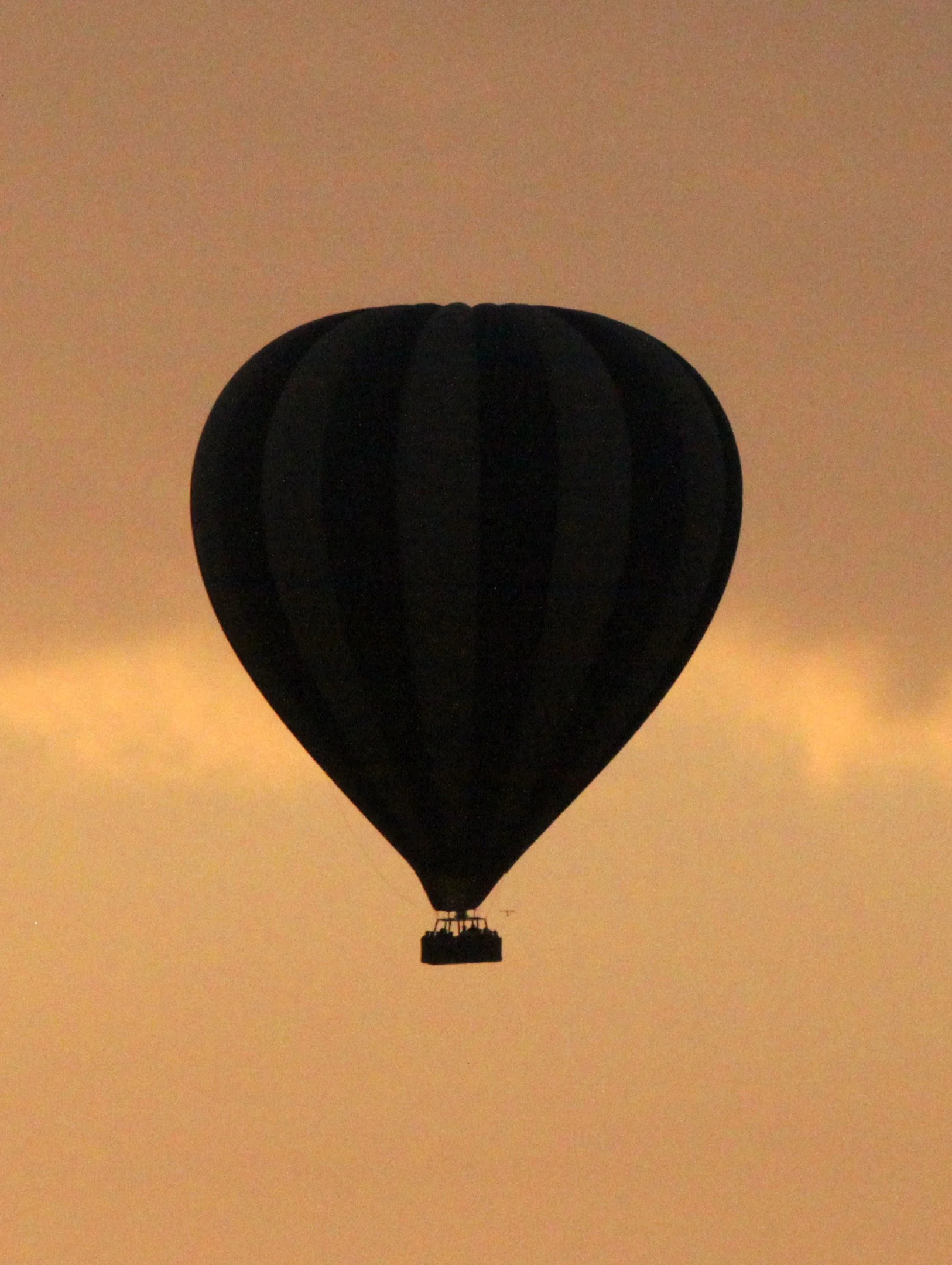 MASAI MARA NATIONAL PARK KENYA (200).JPG