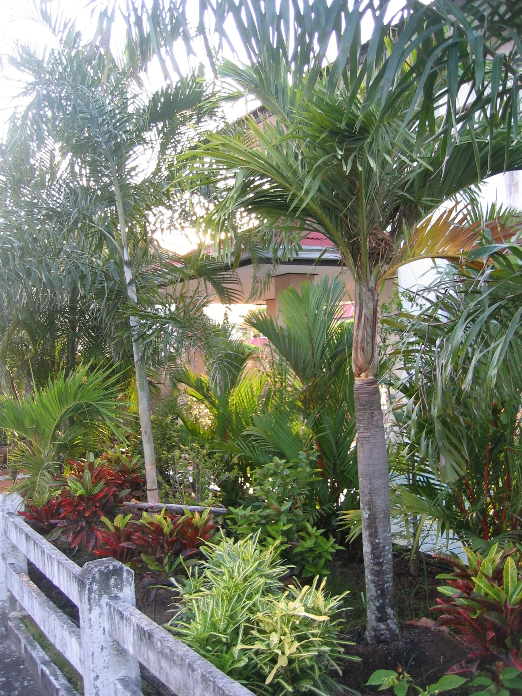 2006 Nakhonsithammarat Siam Nakhon Thani (2).JPG