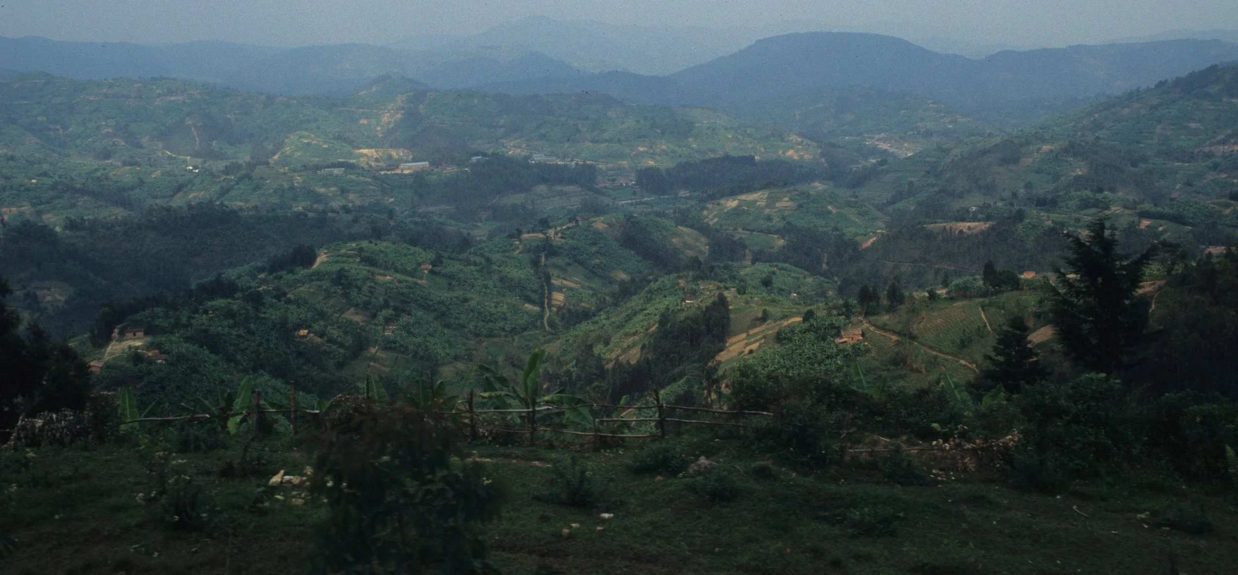 RWANDA - COUNTRYSIDE B.jpg