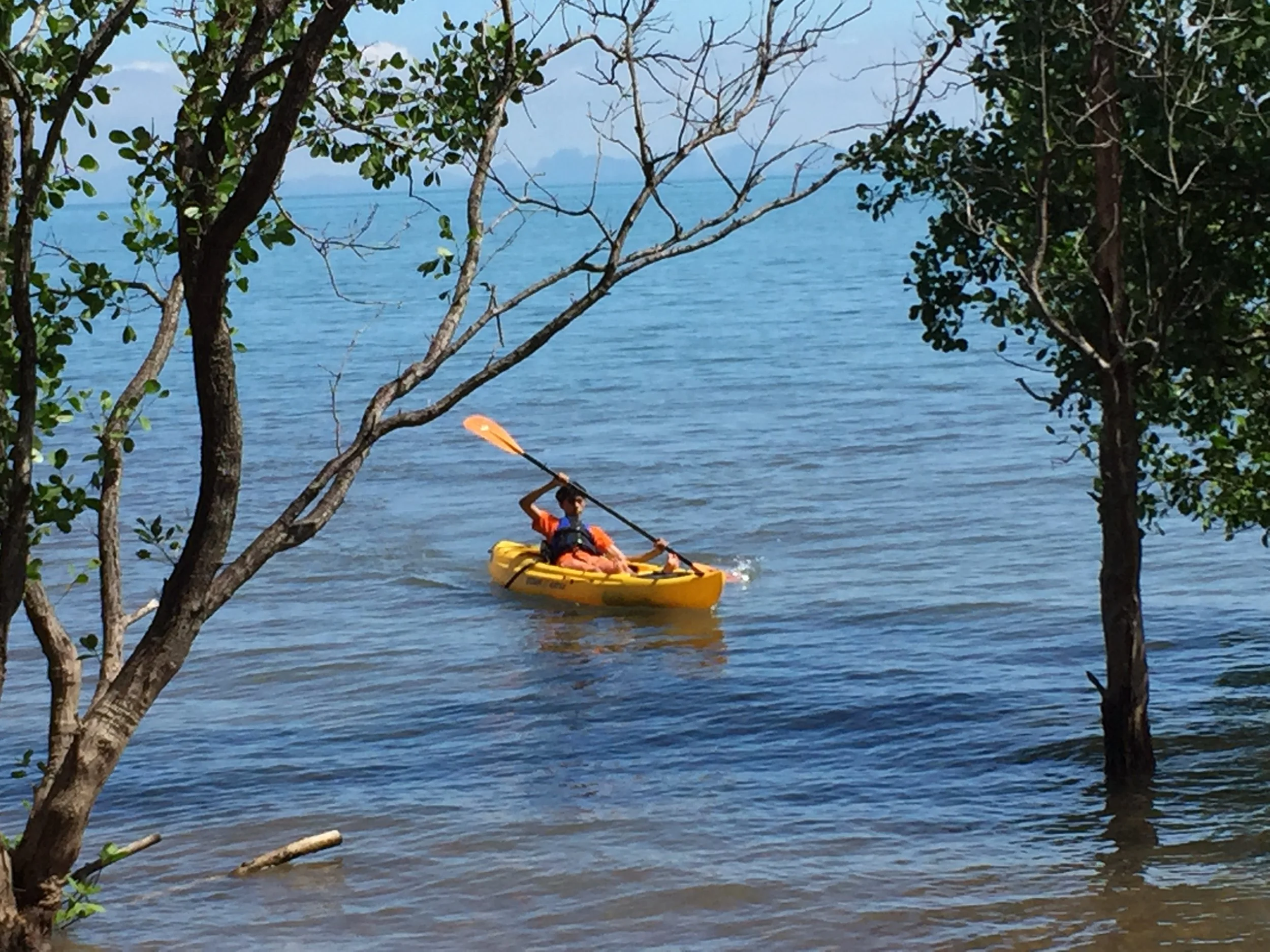 2015 Koh Lanta Garden & Nature (250).JPG