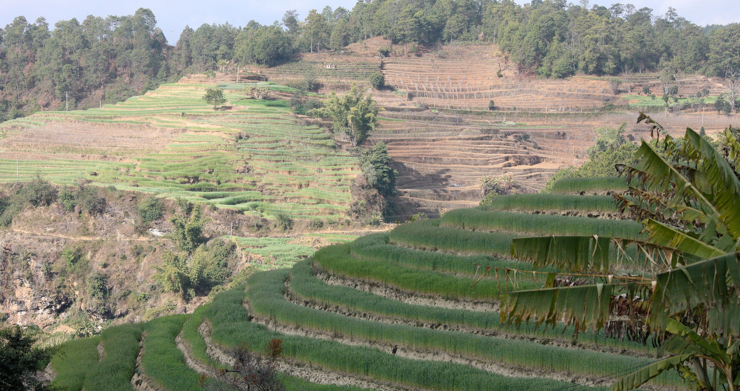 YUNNAN - WULIANGSHAN NATURE RESERVE AND SURROUNDING REGION (12).JPG