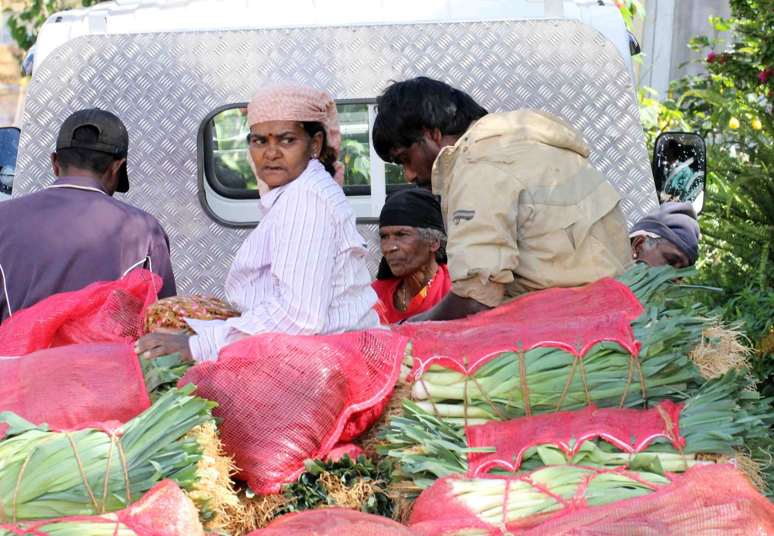 NUWARA ELIYA， HORTON PLAINS NATIONAL PARK,  SRI LANKA (51).JPG