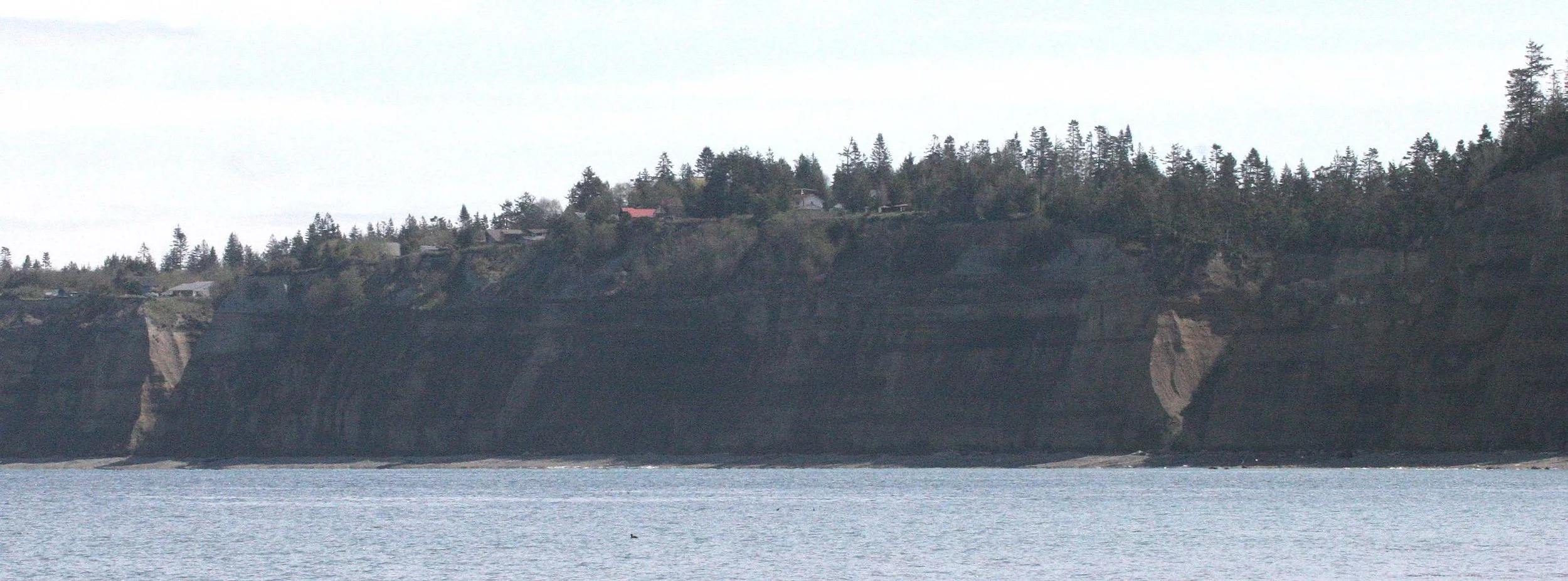 2008-4-20 LAKE FARM BEACH WA (2).JPG