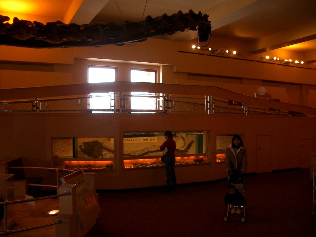 2003-12-25 CHRISTMAS IN CHICAGO (42).JPG