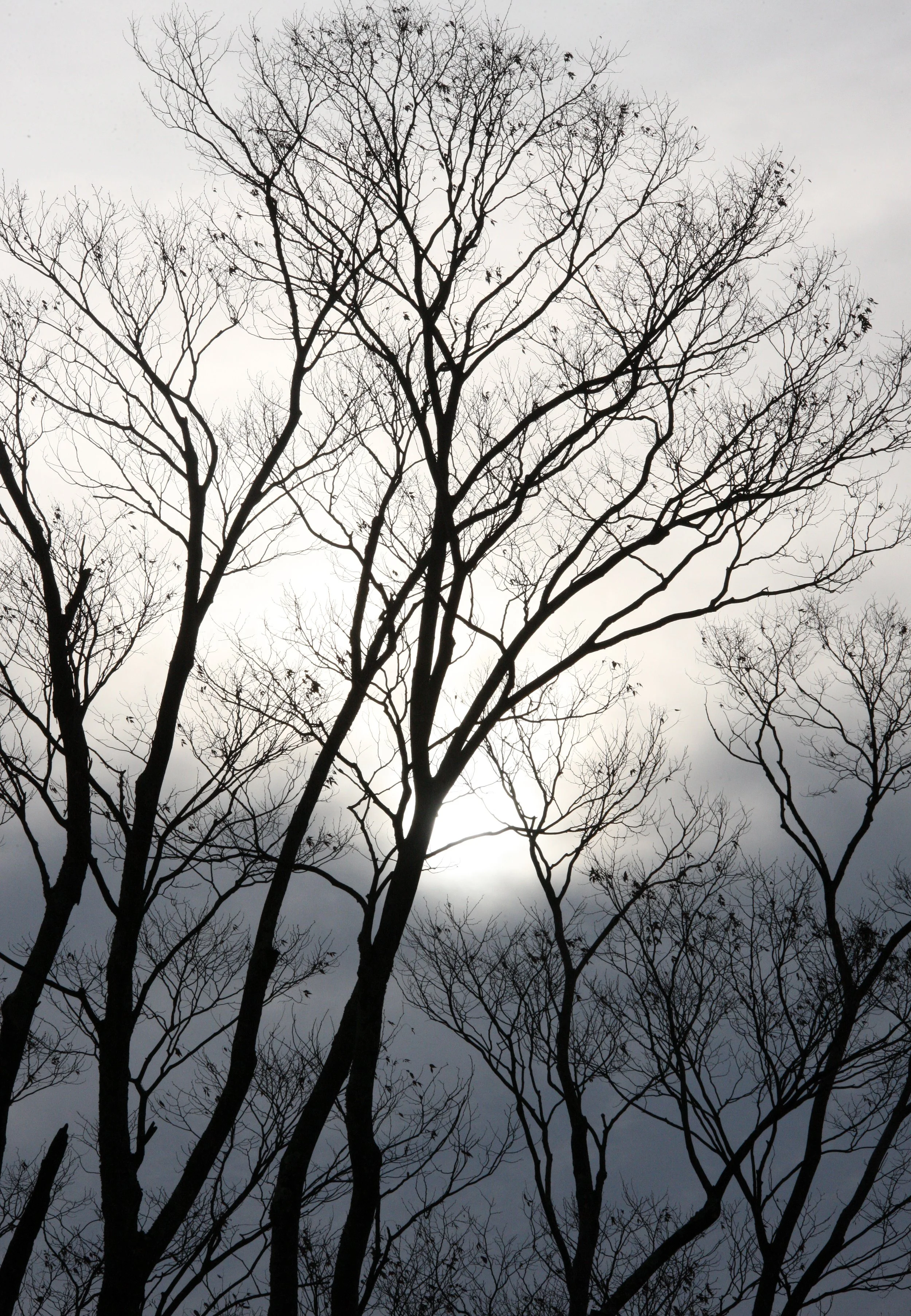 MAGOME JUKU POST TOWN - NAGANO PREFECTURE JAPAN (22).JPG