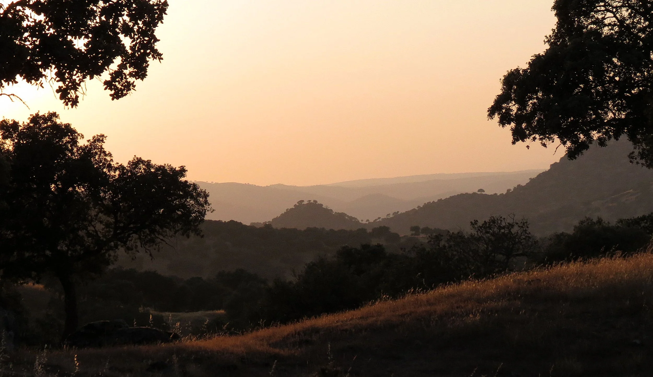 SIERRA DE ANDUJAR NATIONAL PARK SPAIN (16).JPG