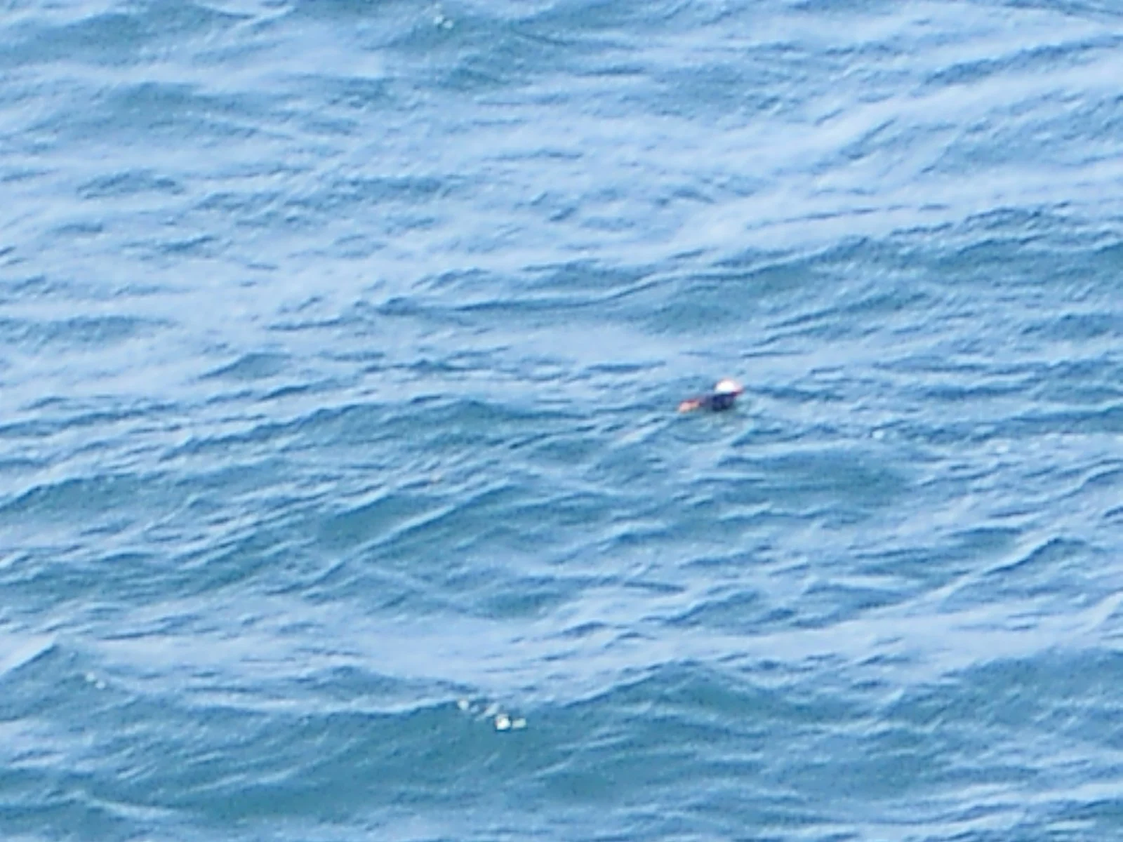 2003-7-31 FAMILY REUNION IN WASHINGTON AND CANADA (9).JPG