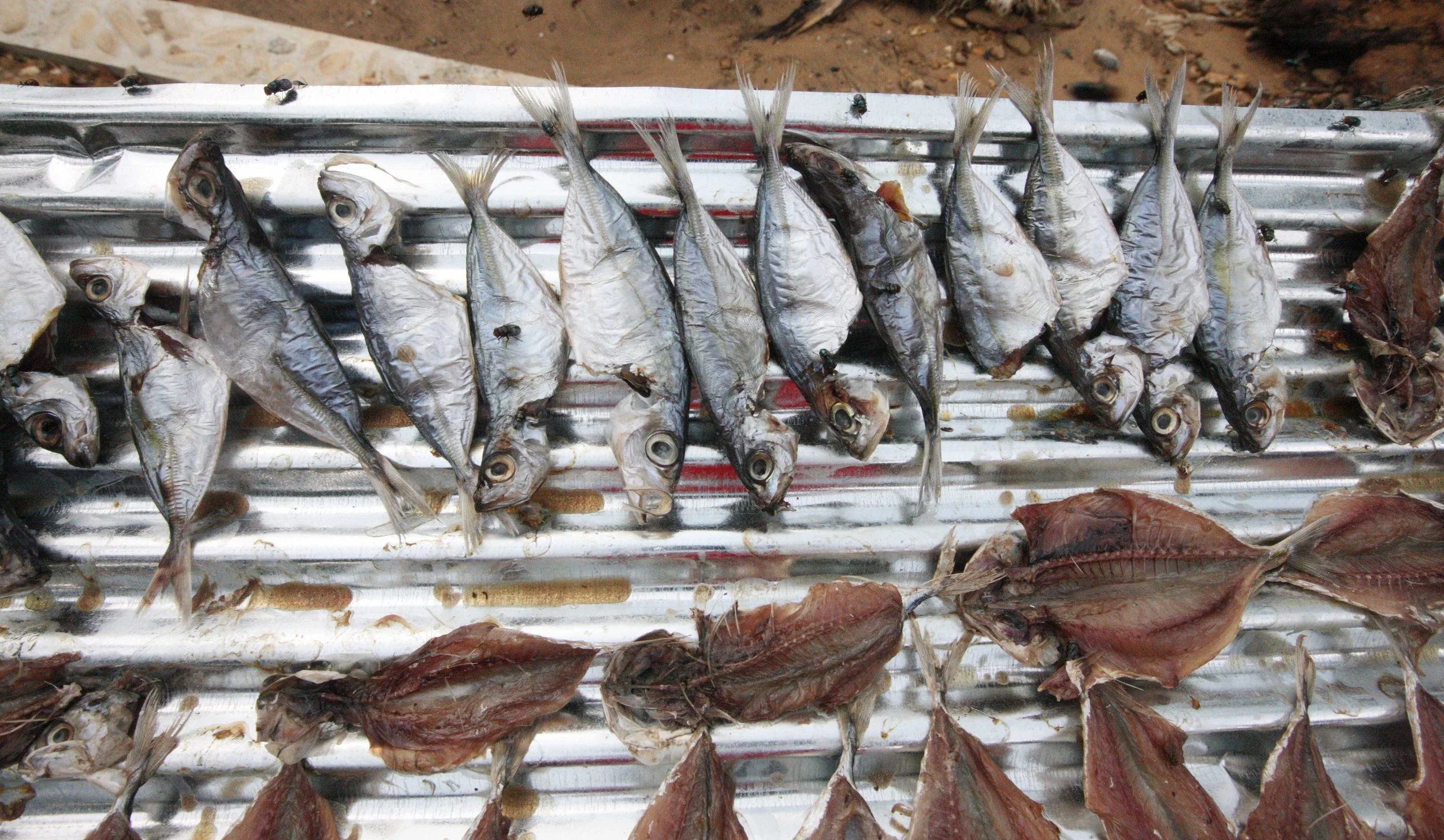 2015 Koh Lanta Songkran with friends from ISB (288).JPG