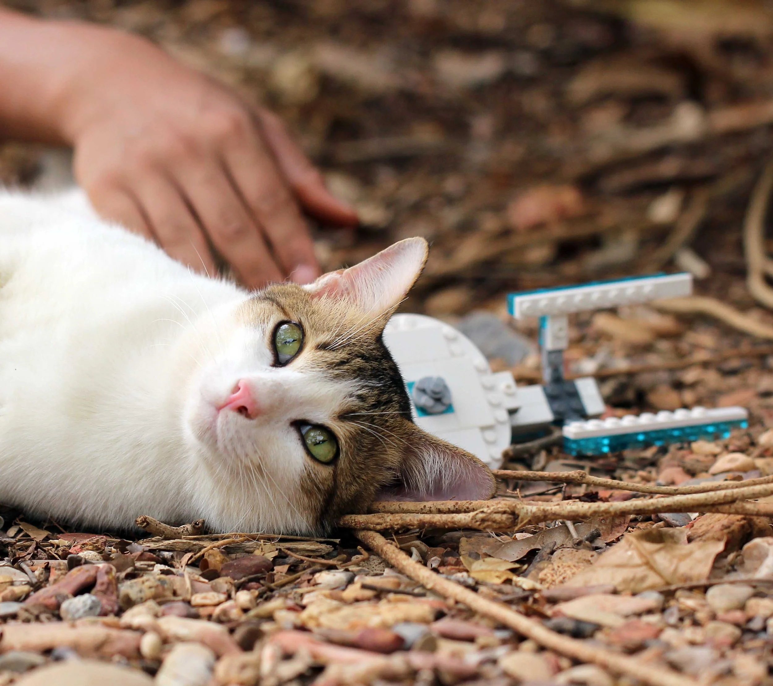 2015 Koh Lanta Songkran with friends from ISB (420).JPG