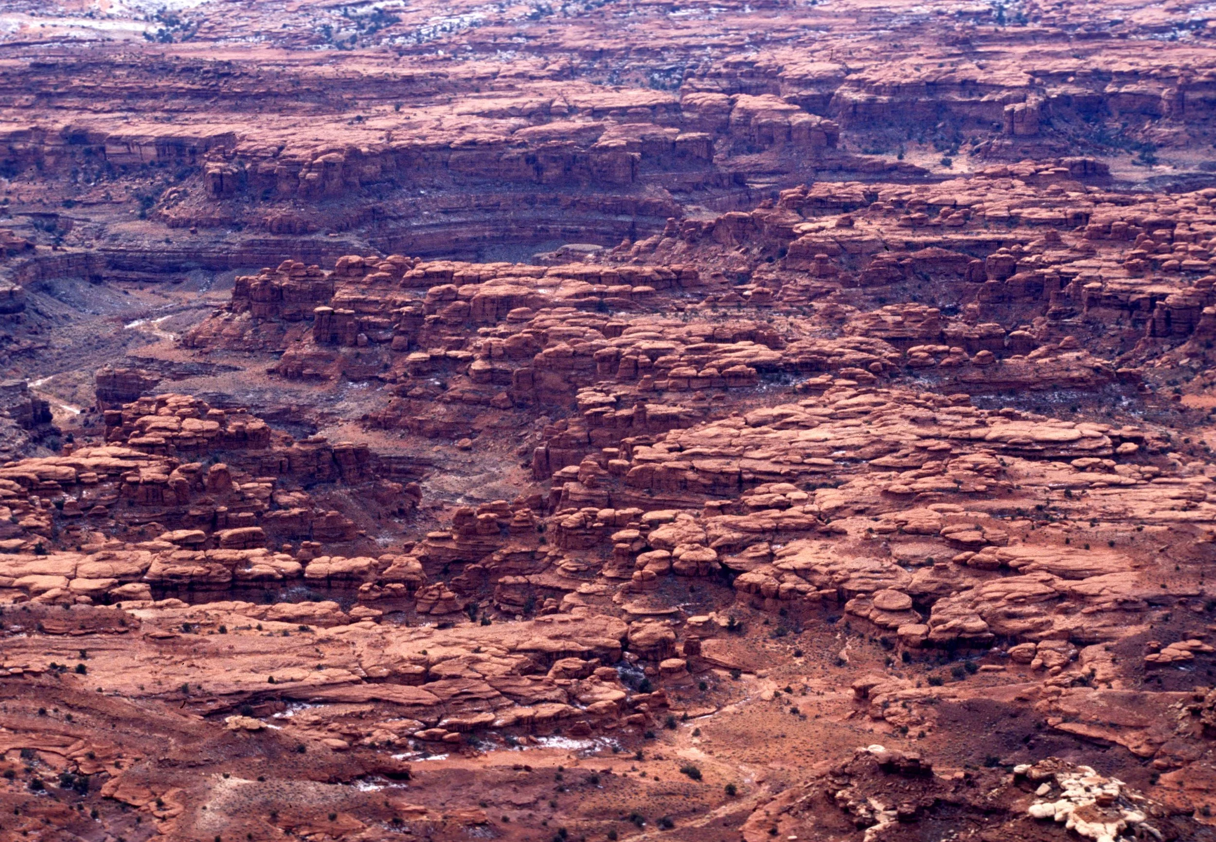 UTAH - CANYONLANDS NP FF.jpg