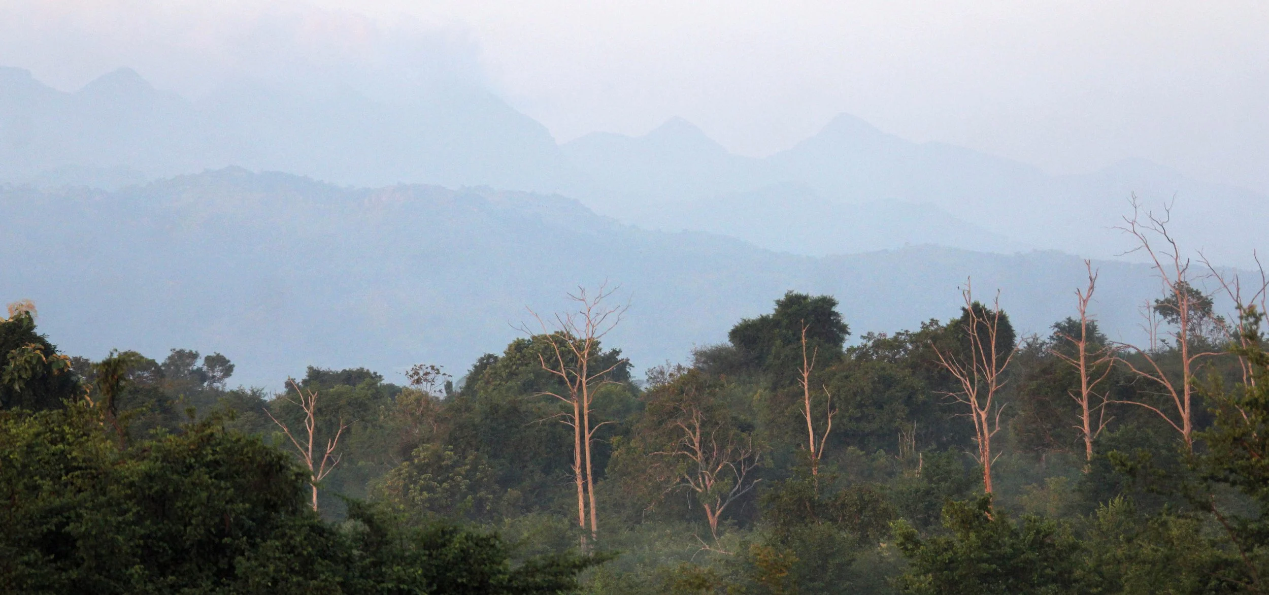 UDAWALAWA NATIONAL PARK SRI LANKA (11).JPG