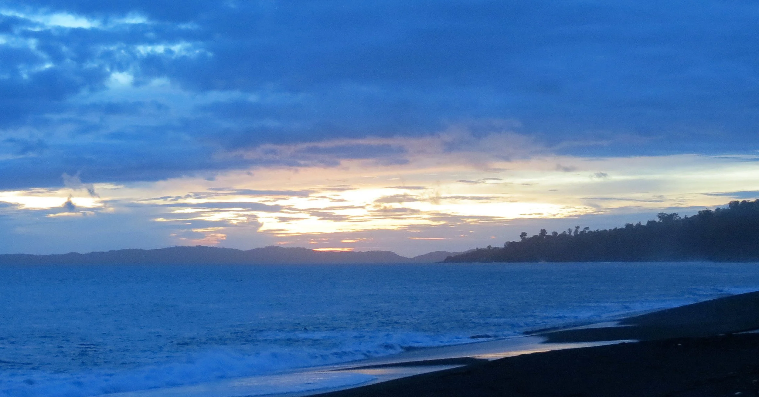 TANGKOKO NATIONAL PARK, SULAWESI INDONESIA  (1).JPG