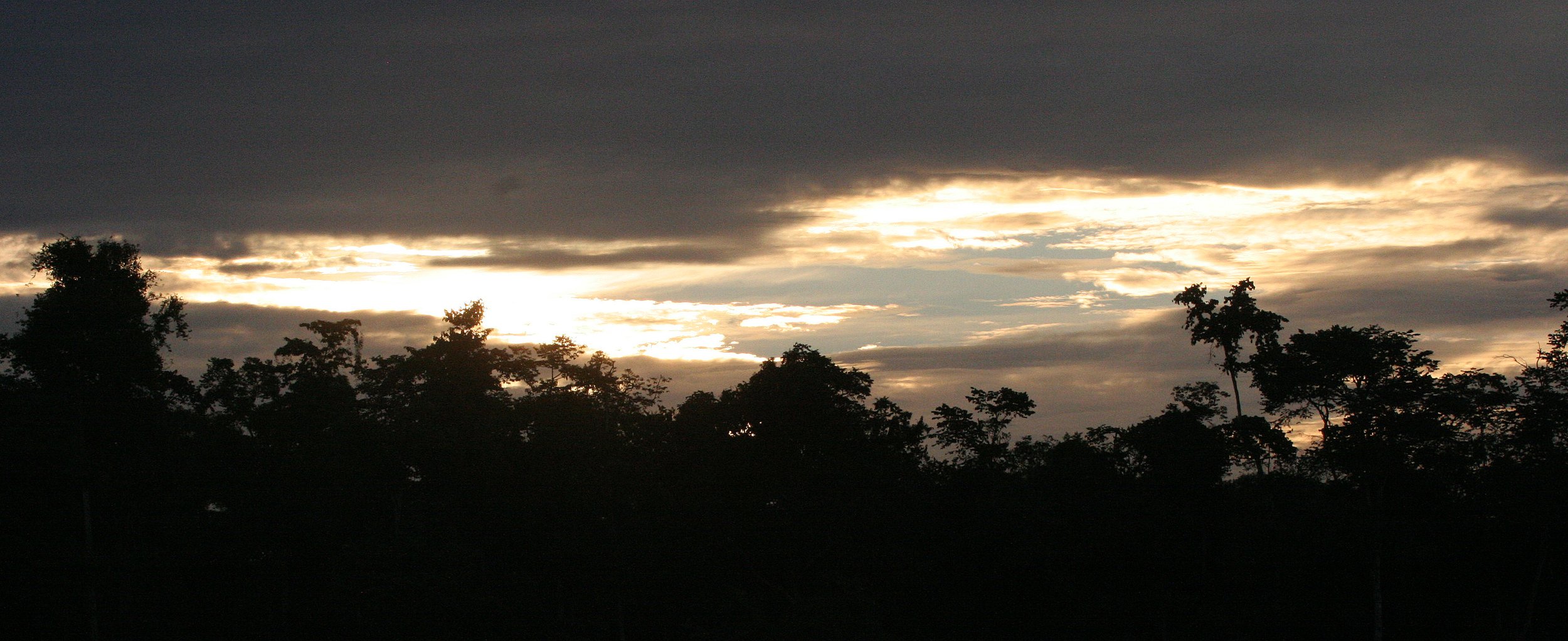 KINABATANGAN RIVER BORNEO - SUNSET SPECTACULAR (9).JPG