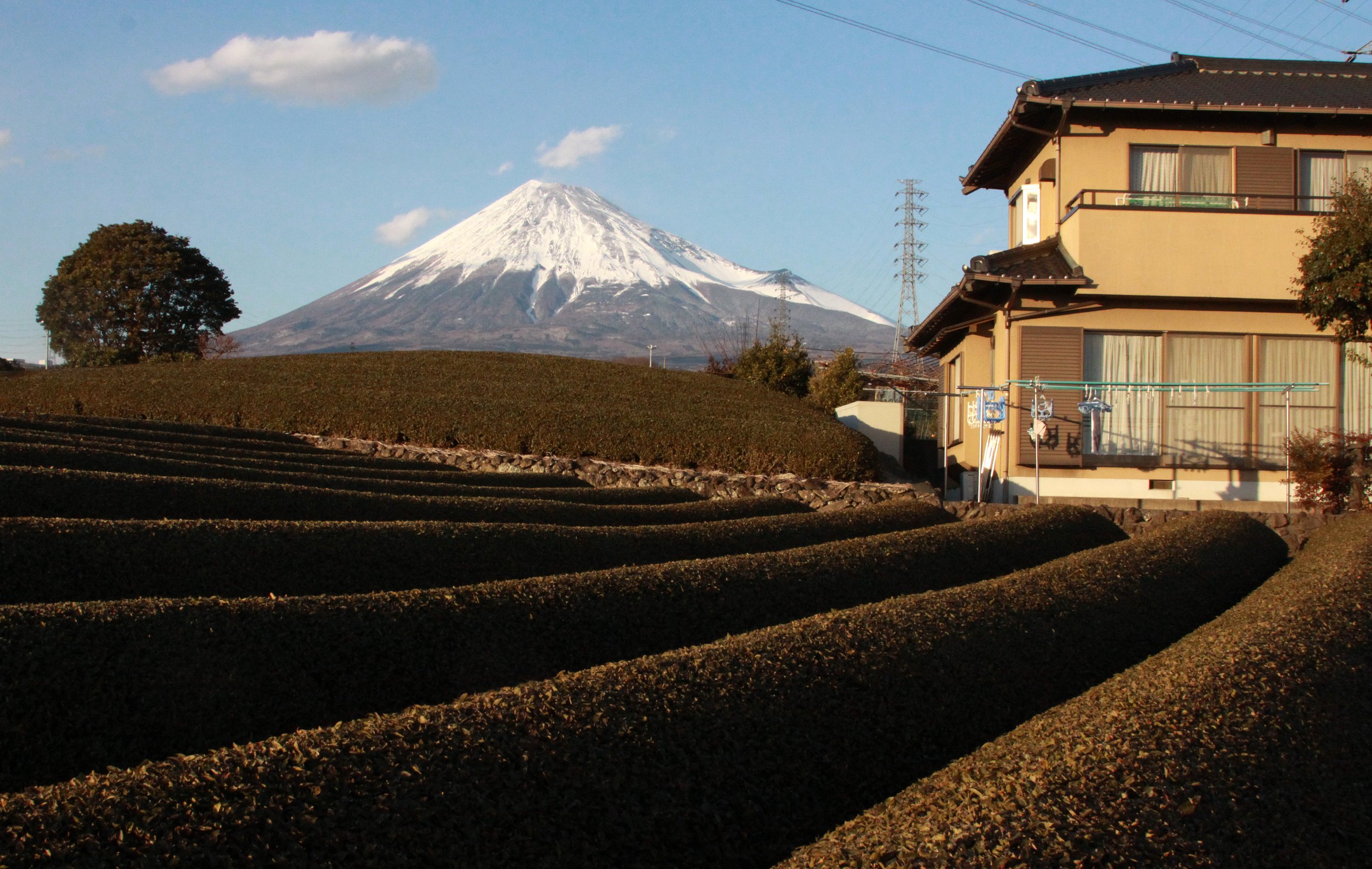 MOUNT FUJY - AS SEEN FROM FUJI CITY JAPAN (10).JPG