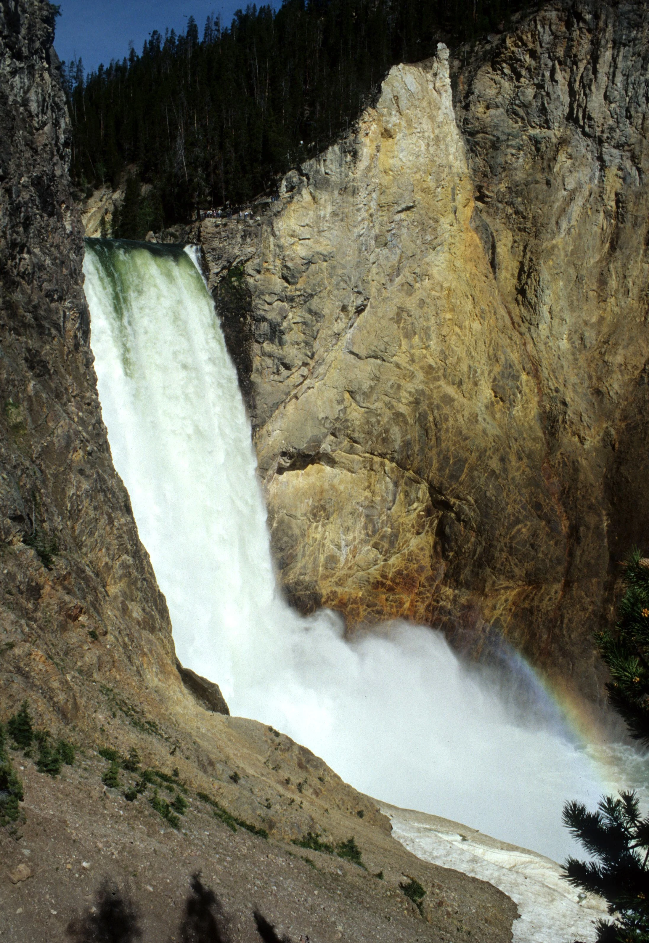 YELLOWSTONE - LOWER FALLS.jpg
