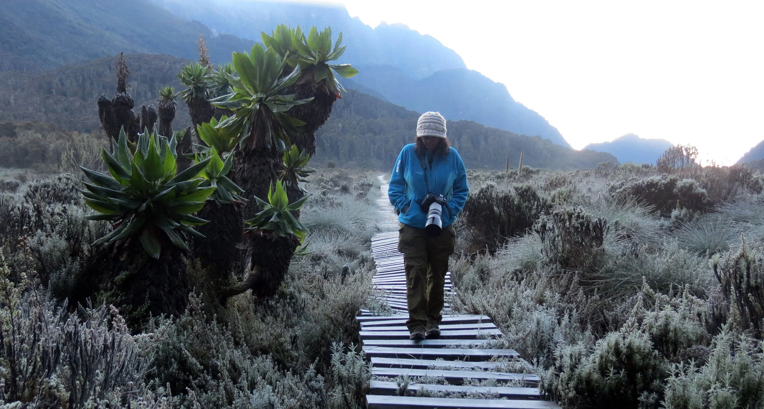 RWENZORI NATIONAL PARK UGANDA (219).JPG