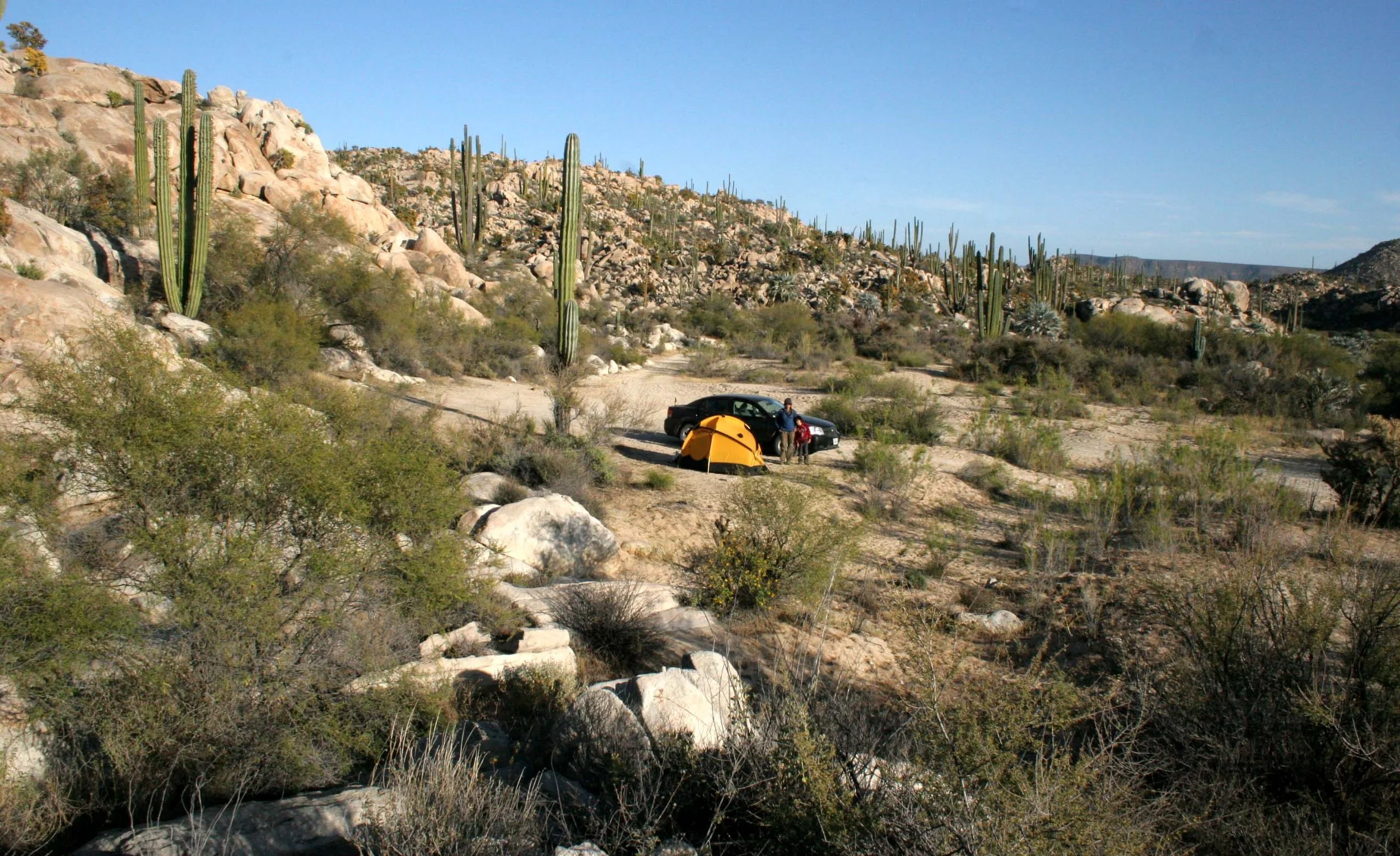 Bush camping in Baja!