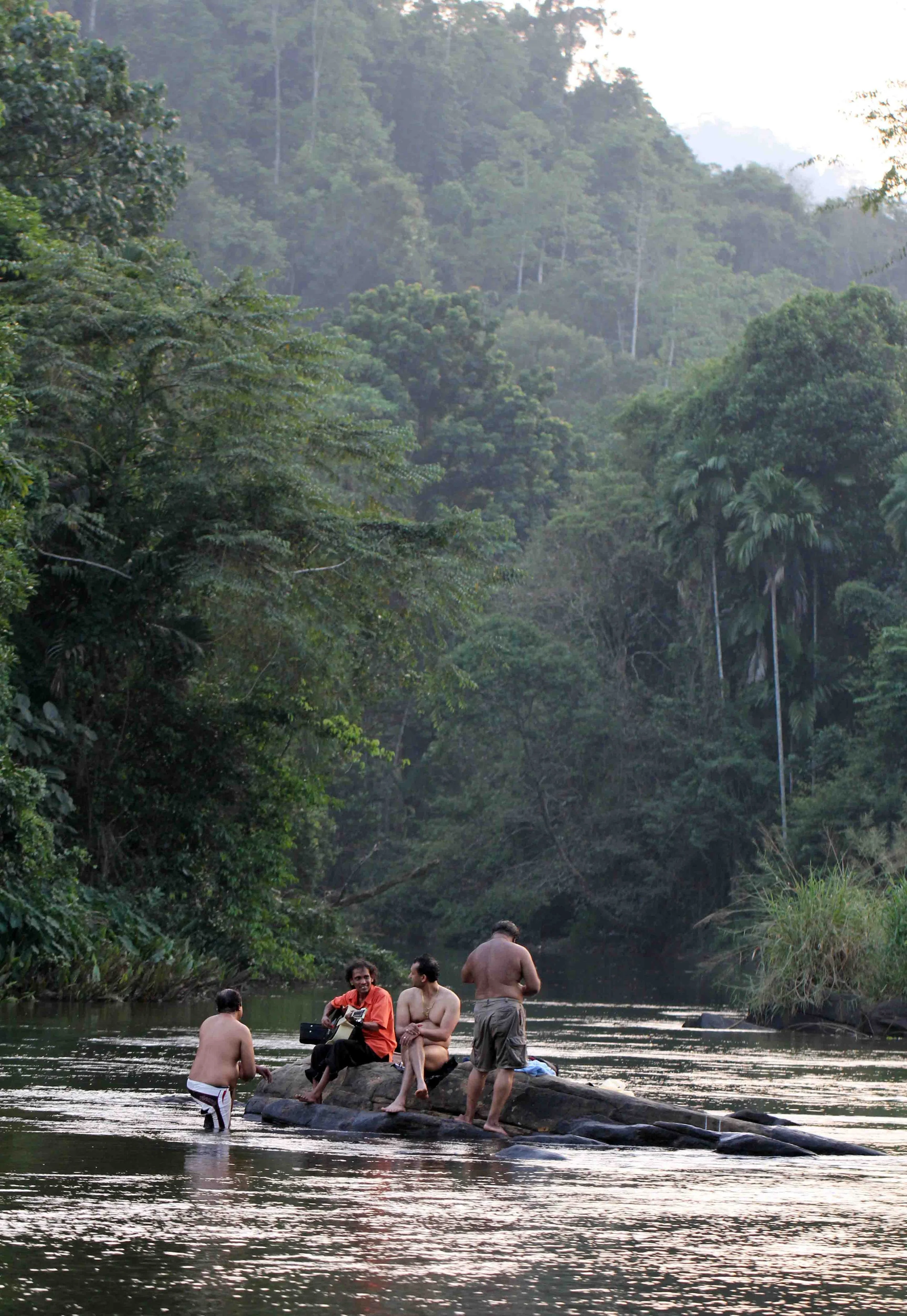 KITULGALA FOREST PRESERVE, SRI LANKA (5).JPG