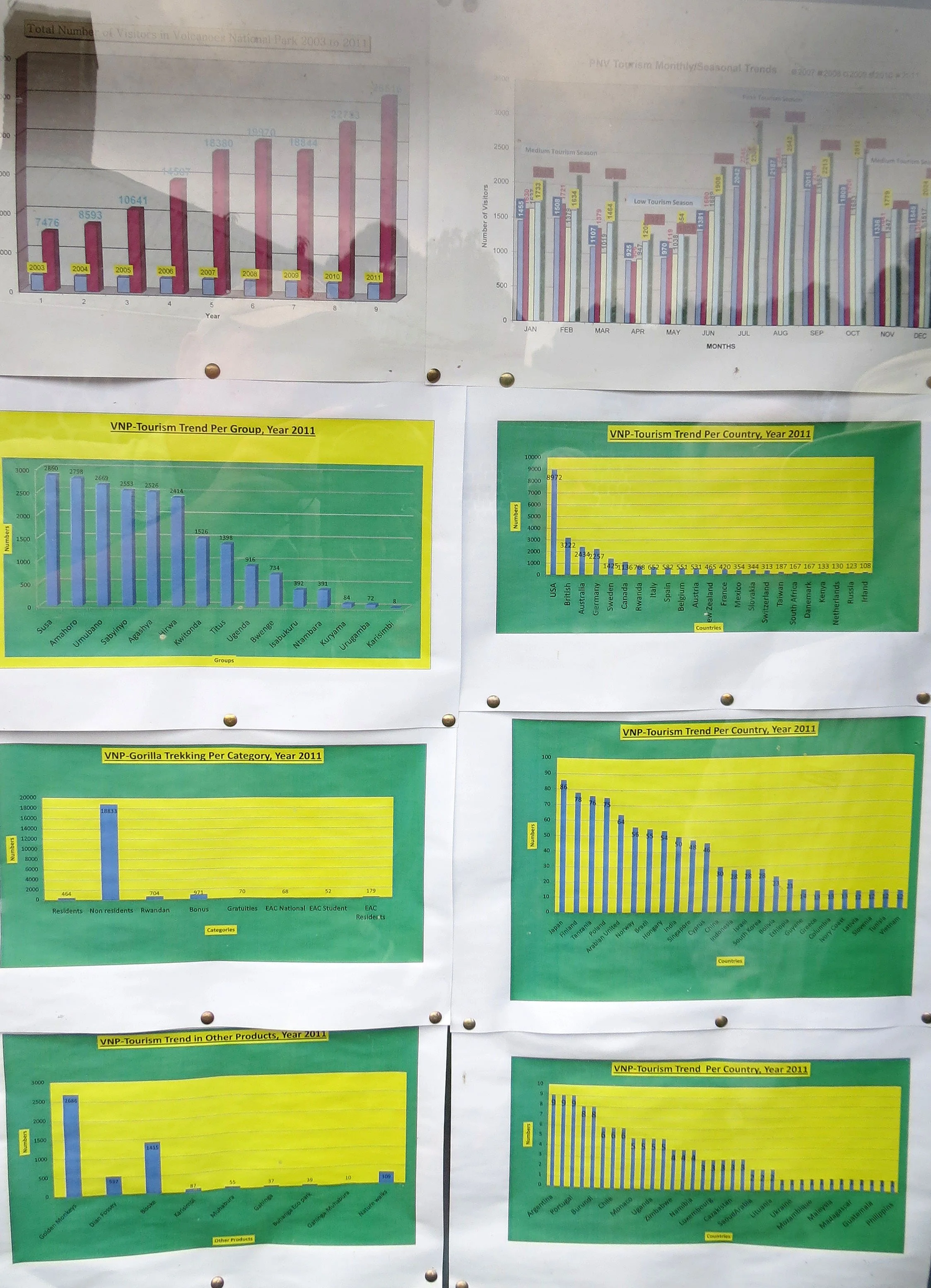 PARC DU VULCANS RWANDA (11).JPG