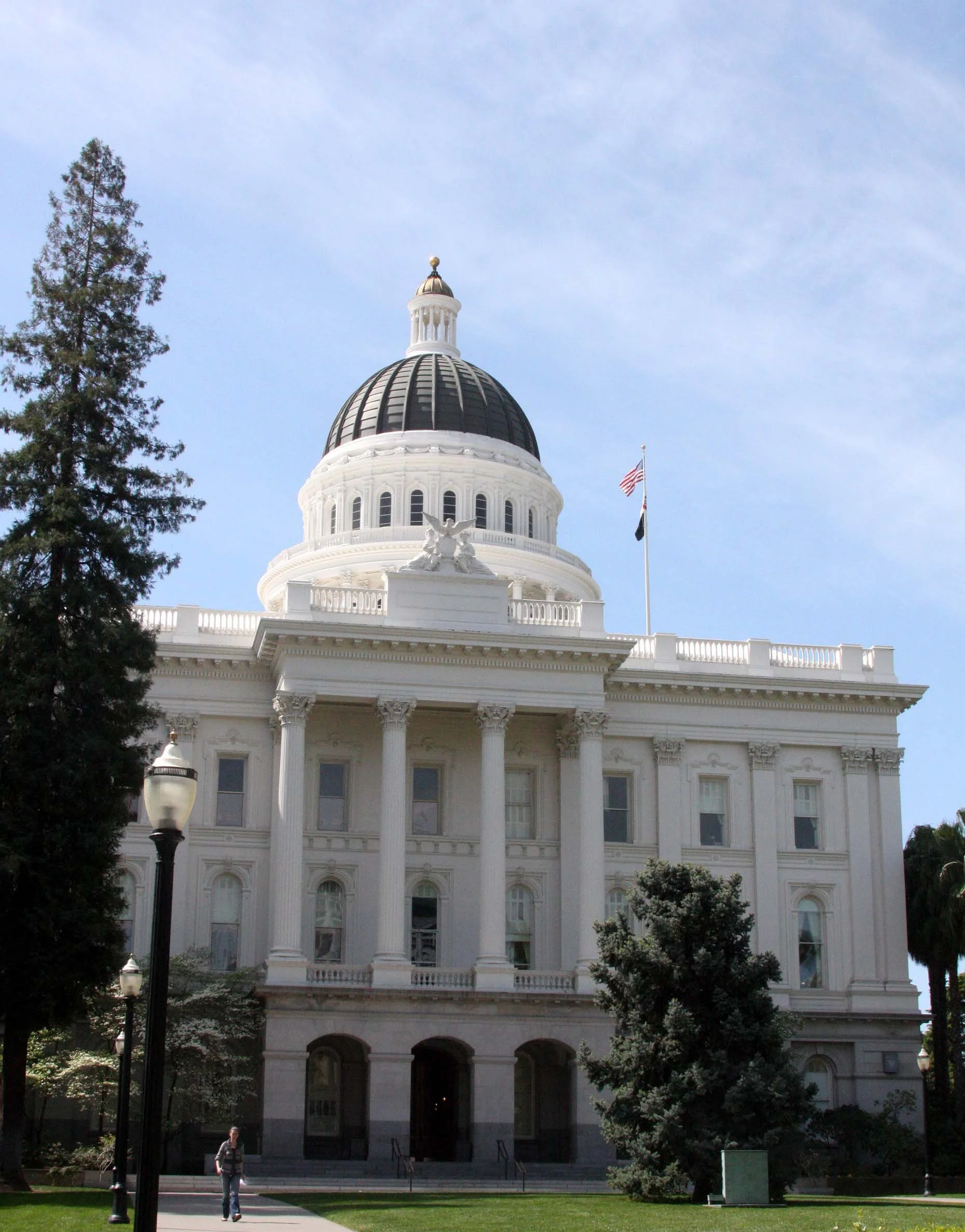 2010-4-9 SACRAMENTO CALIFORNIA - CAPITAL BUILDING (12).JPG