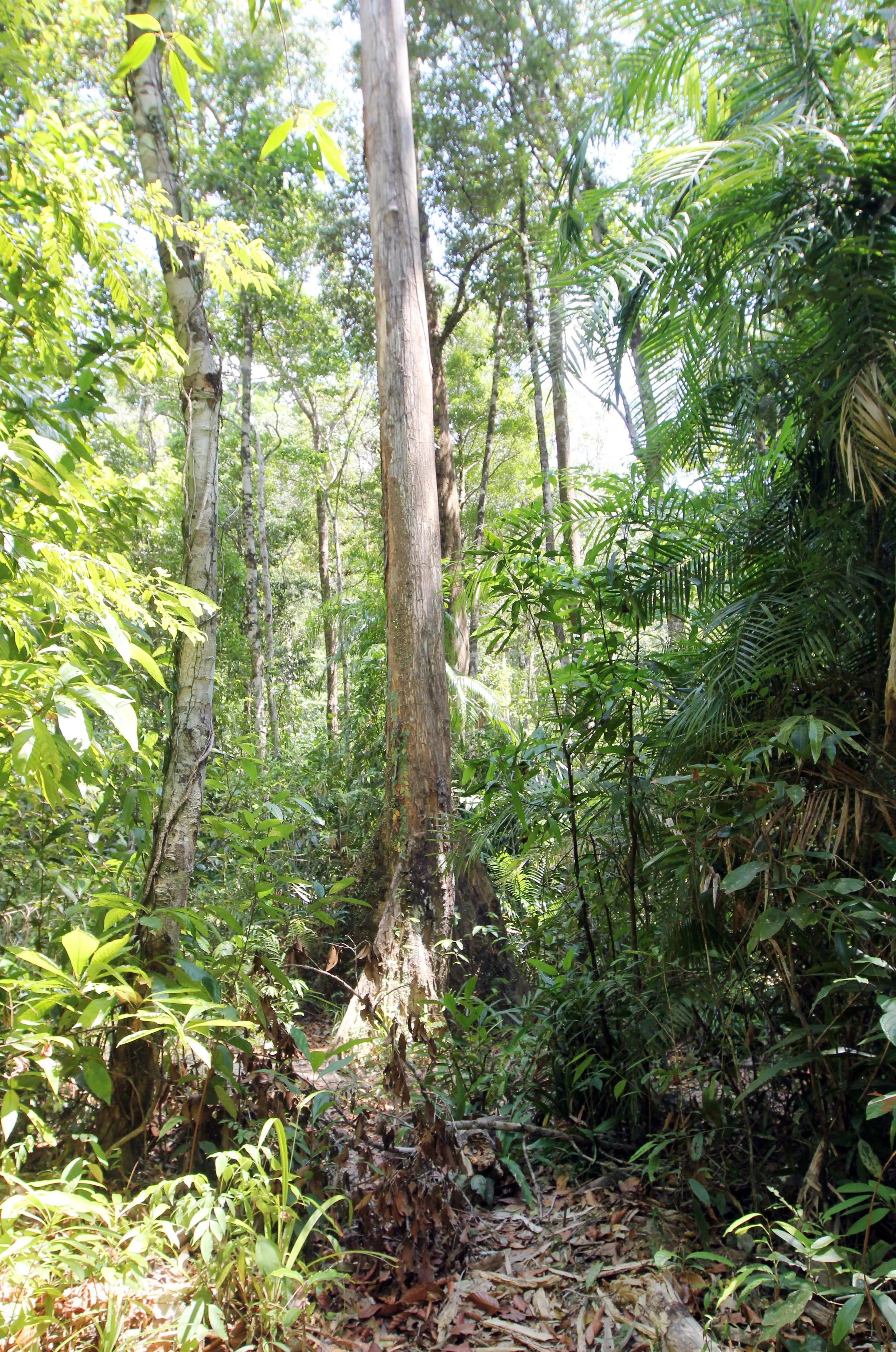 2014 ISB Trip to Tonte Falls in Trang (29).JPG