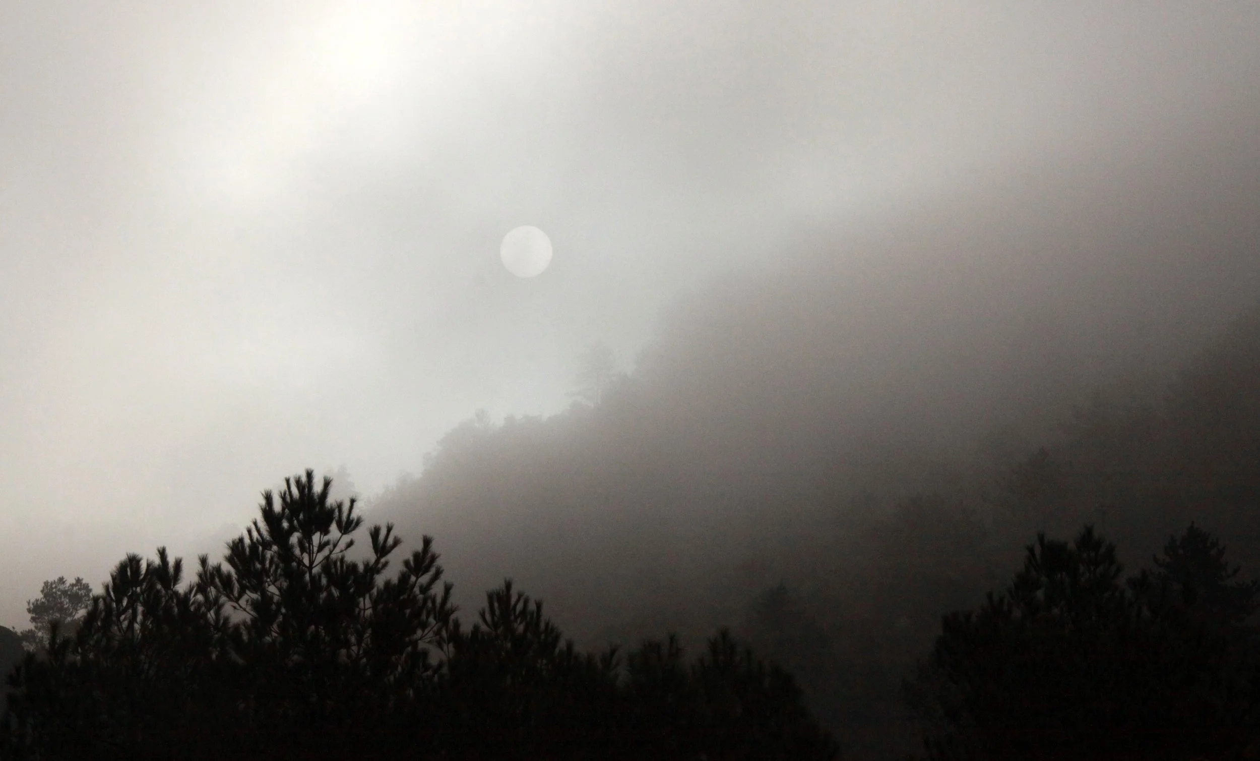 MEIHUASHAN - FUJIAN CHINA (70).JPG