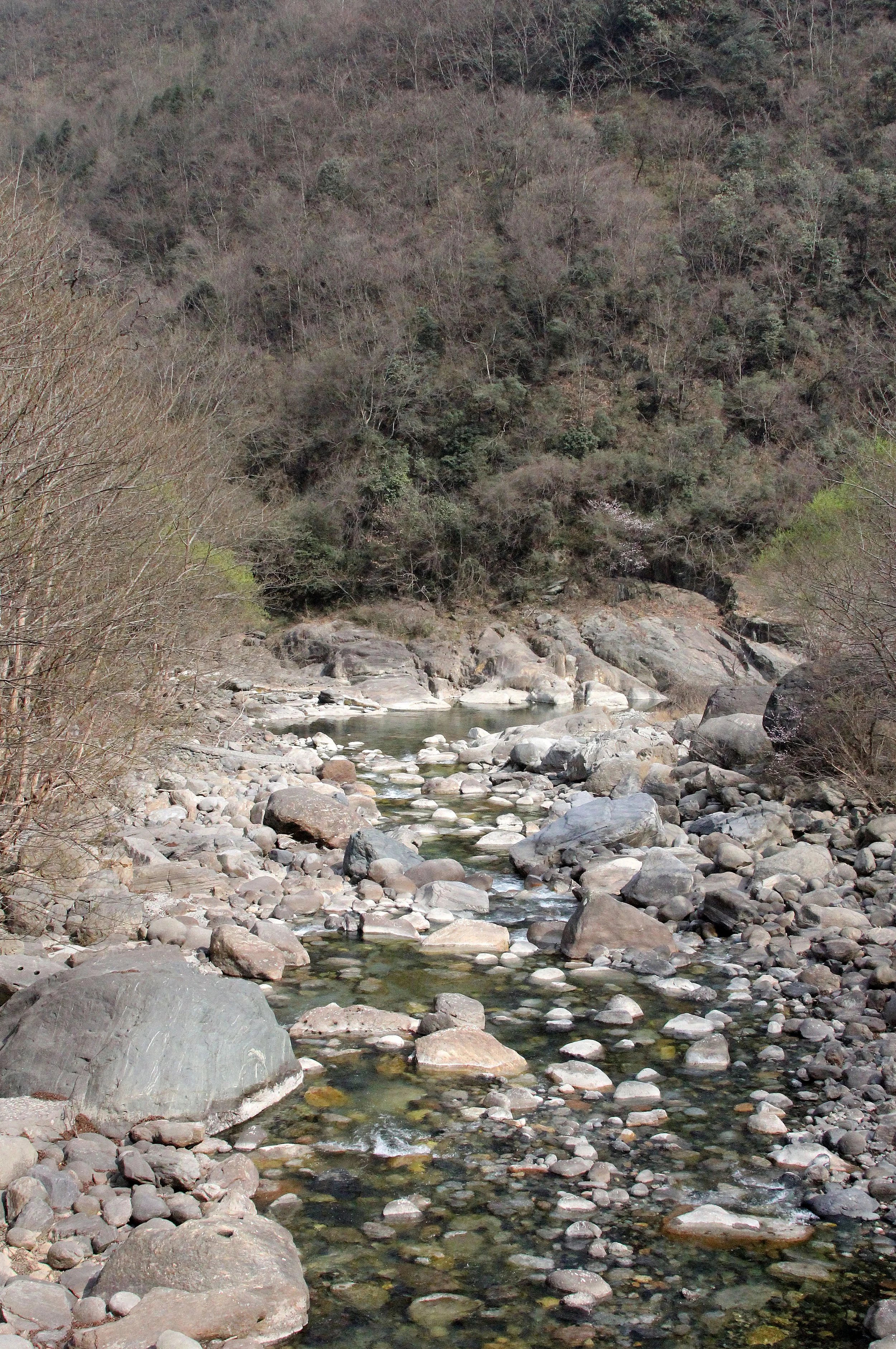TANGJIAHE NATURE RESERVE, SICHUAN CHINA (46).JPG
