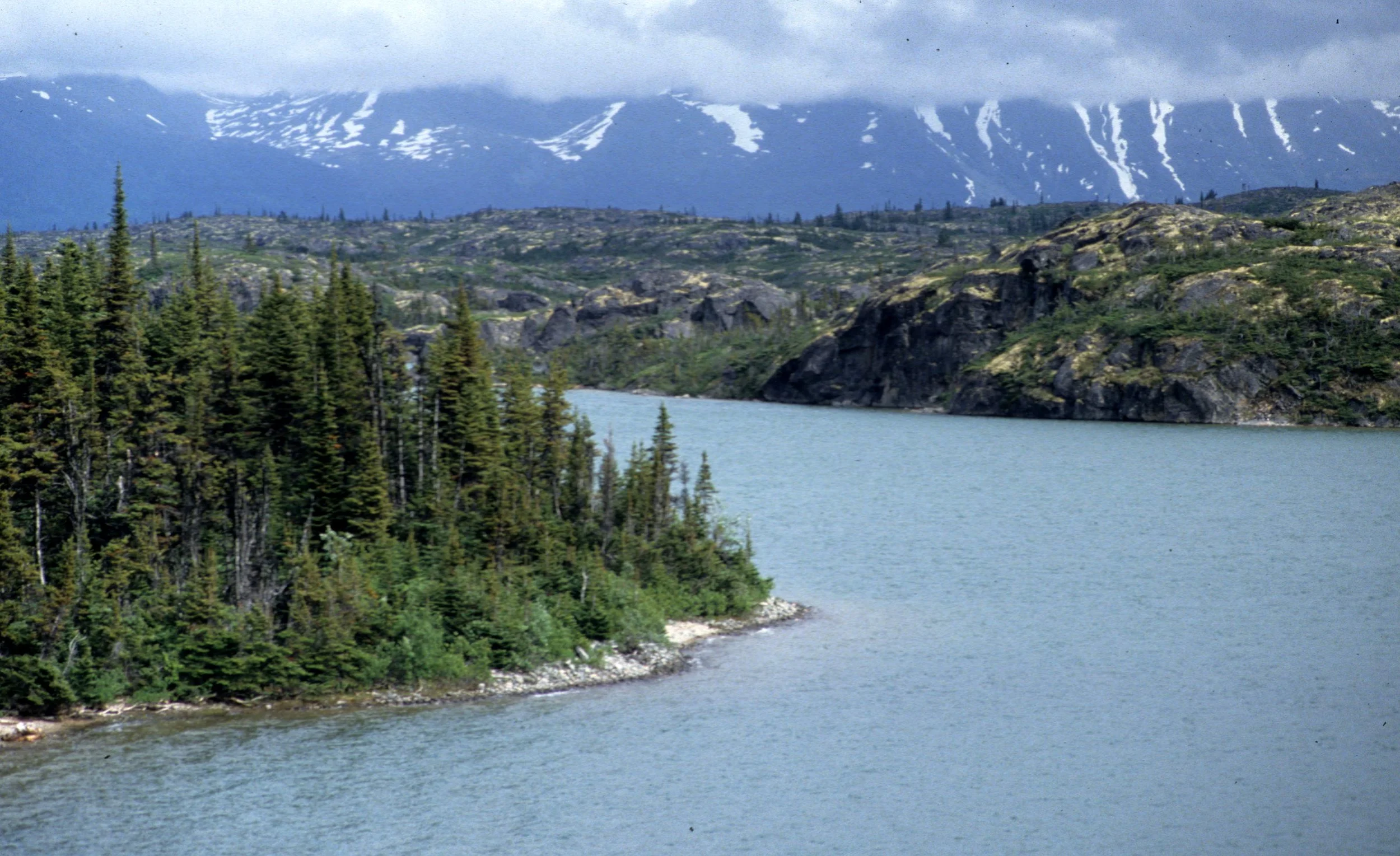 YUKON - YUKON RIVER.jpg