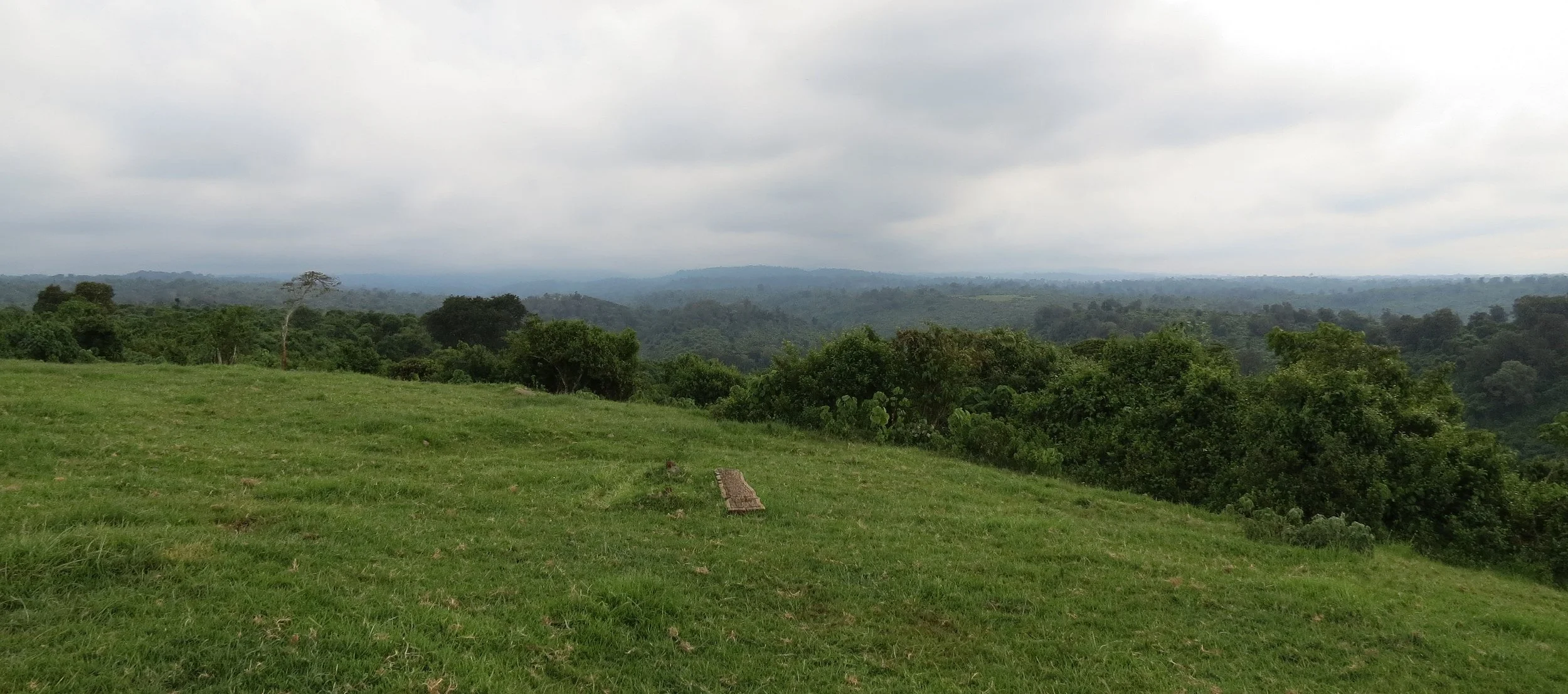 ABERDERES NATIONAL PARK KENYA - TREETOPS LODGE (20).JPG