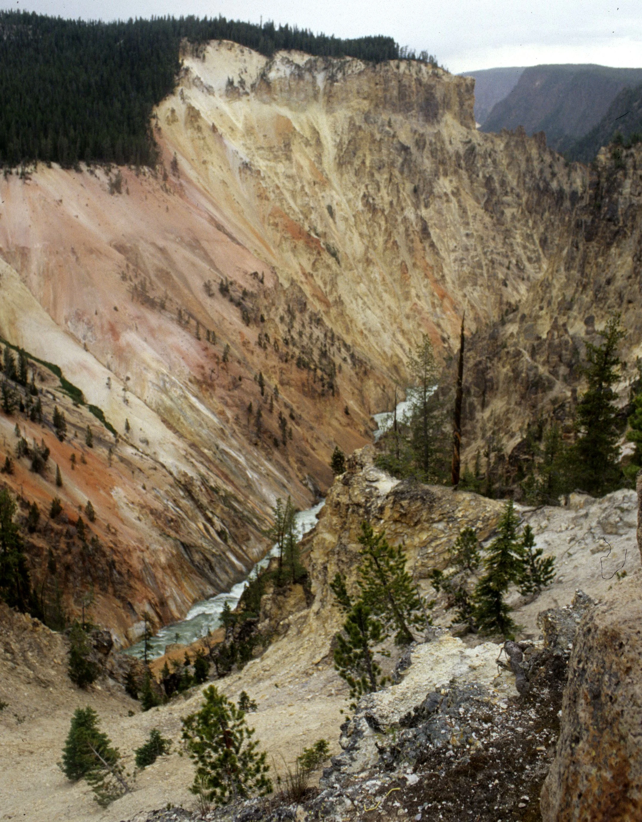 YELLOWSTONE - CANYON VIEW I.jpg