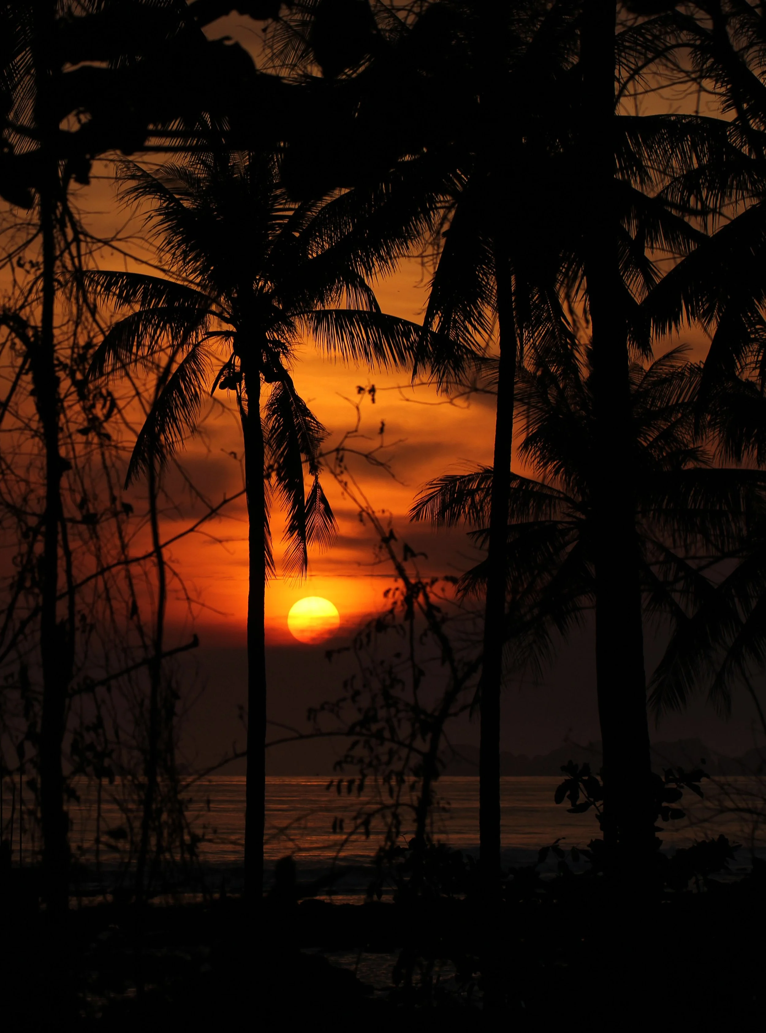 2015 Koh Lanta Summer Misc Images (1105).JPG