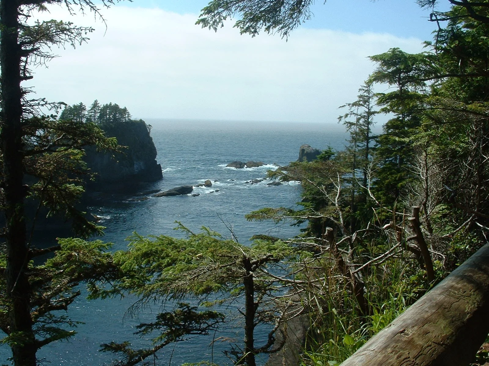 2003-8-1 WASHINGTON VISIT FROM ROBINSONS ET AL (73).JPG