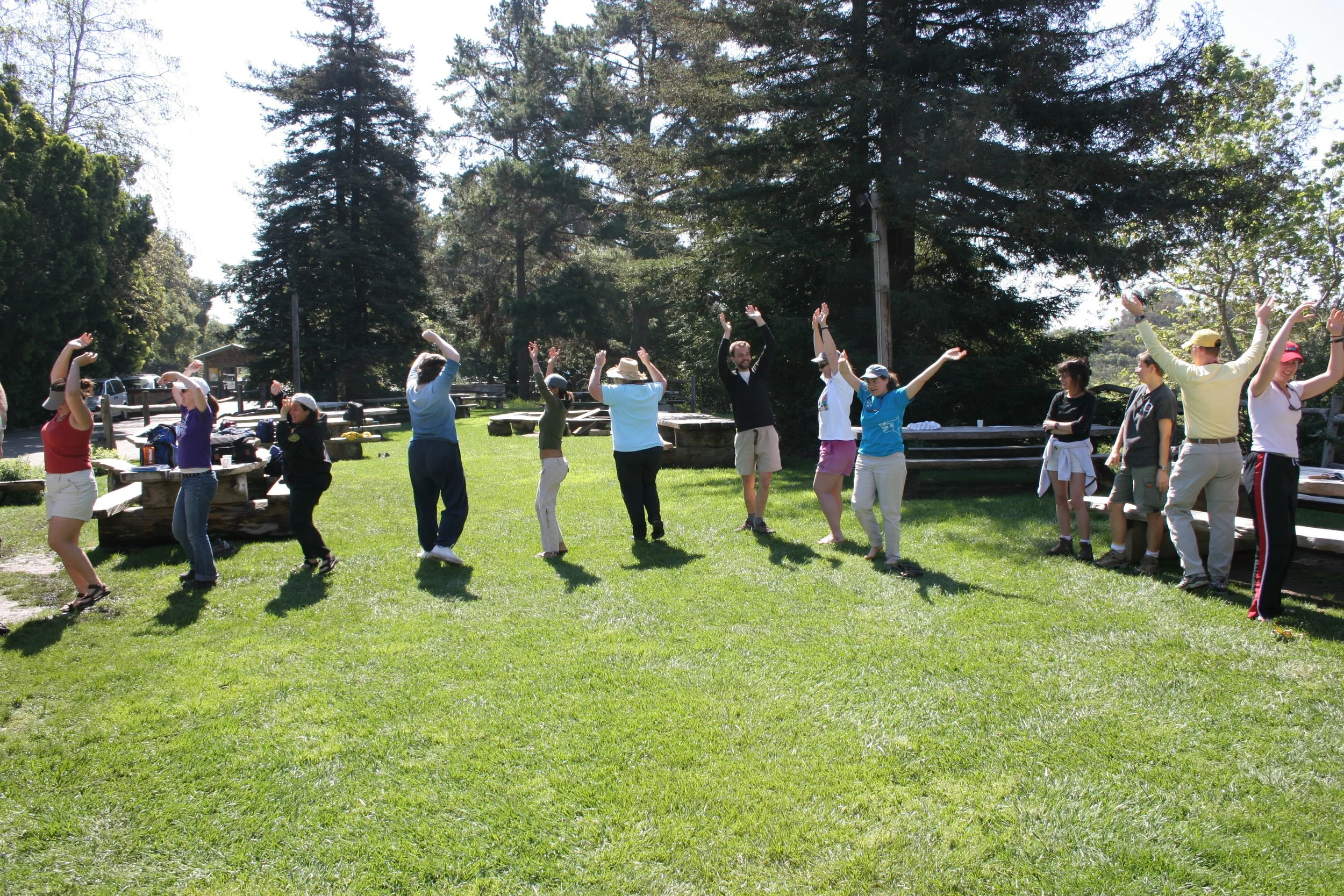 CALIFORNIA - CHANNEL ISLANDS NP - LIMPETS RESEARCH METHODS (8).jpg