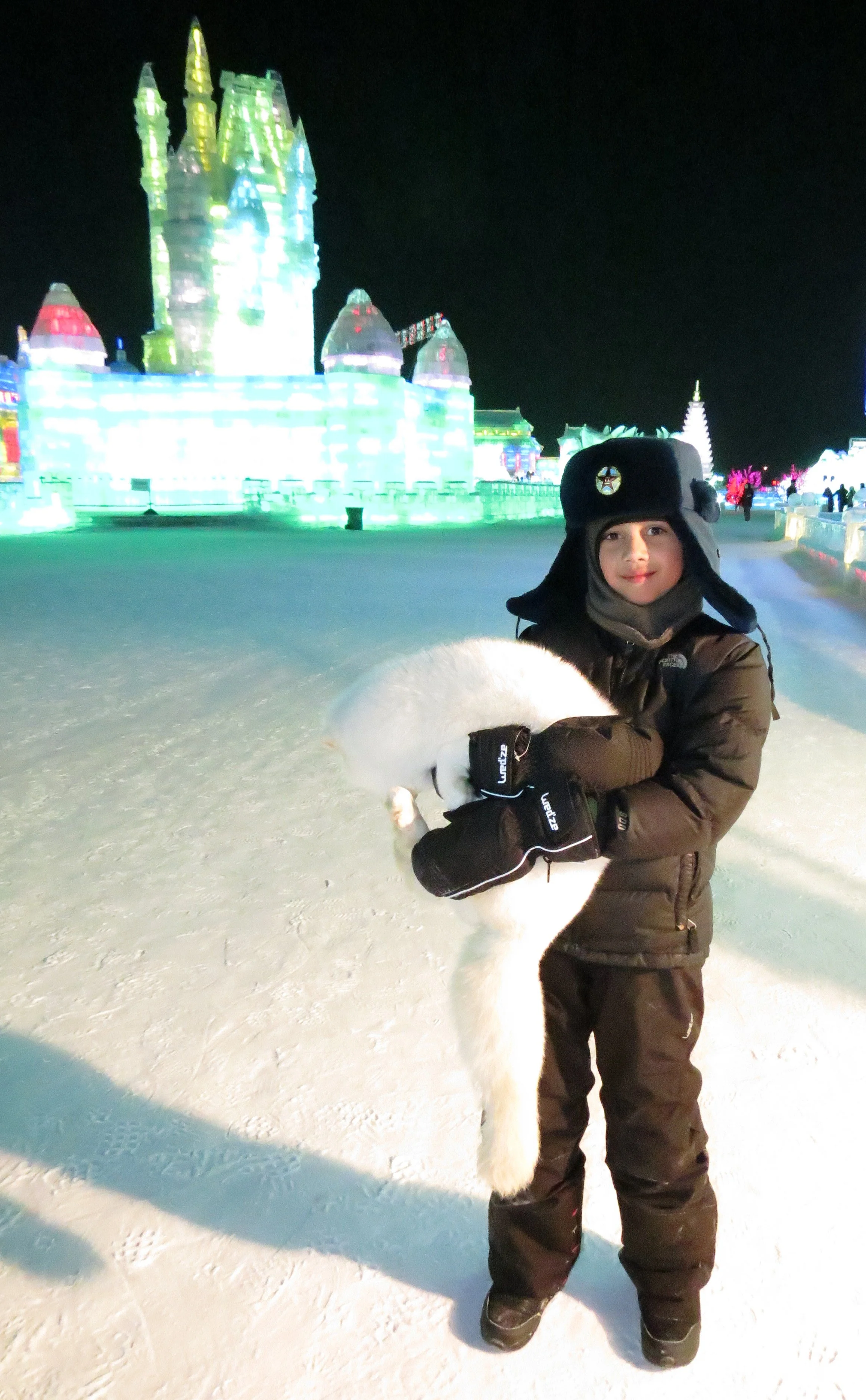 HARBIN SNOW & ICE FESTIVAL FEBRUARY 2012 (2).JPG