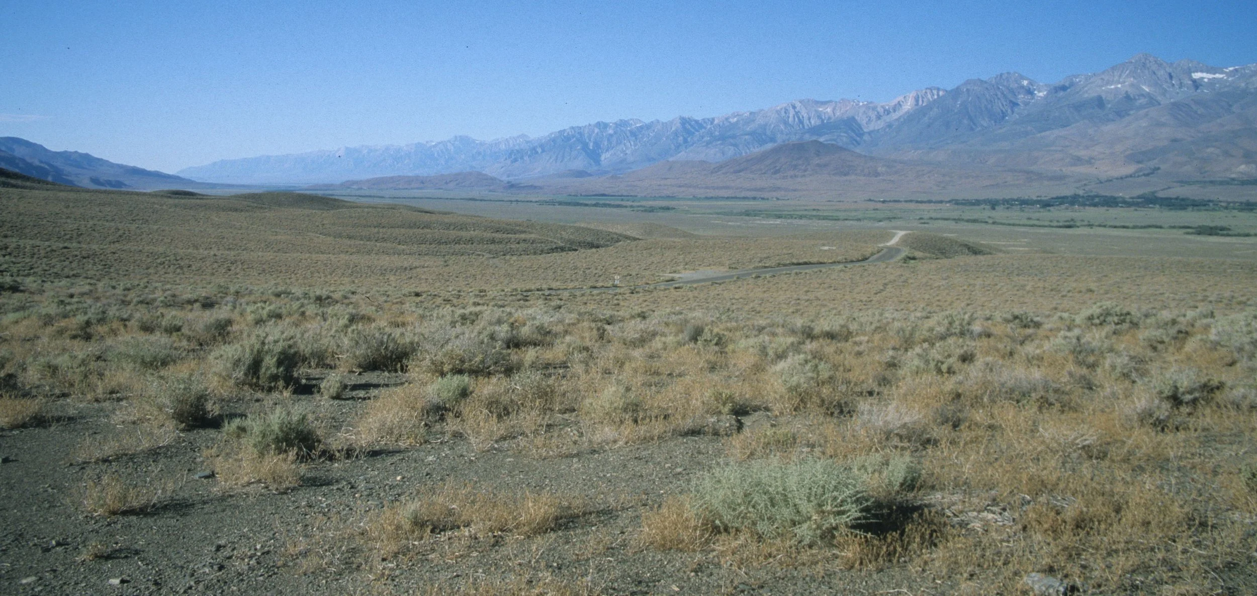DEATH VALLEY - OWENS VALLEY.jpg