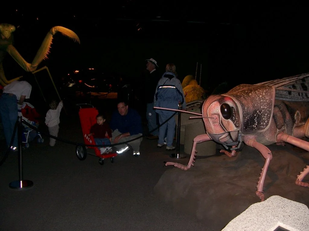 2003-11-28 DAY TRIP TO VICTORIA BC (7).JPG