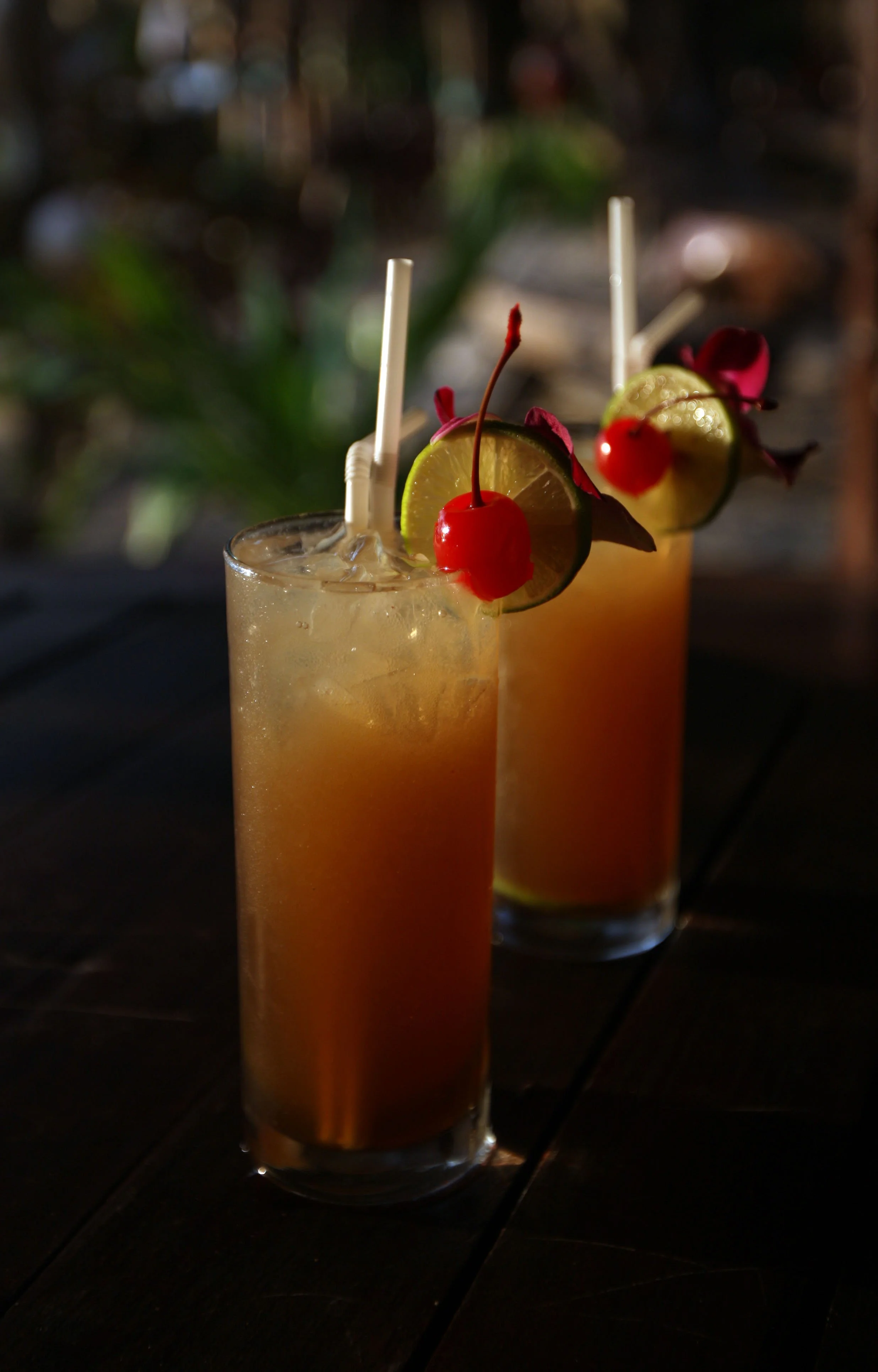 2015 Koh Lanta Build and Fun (83).JPG