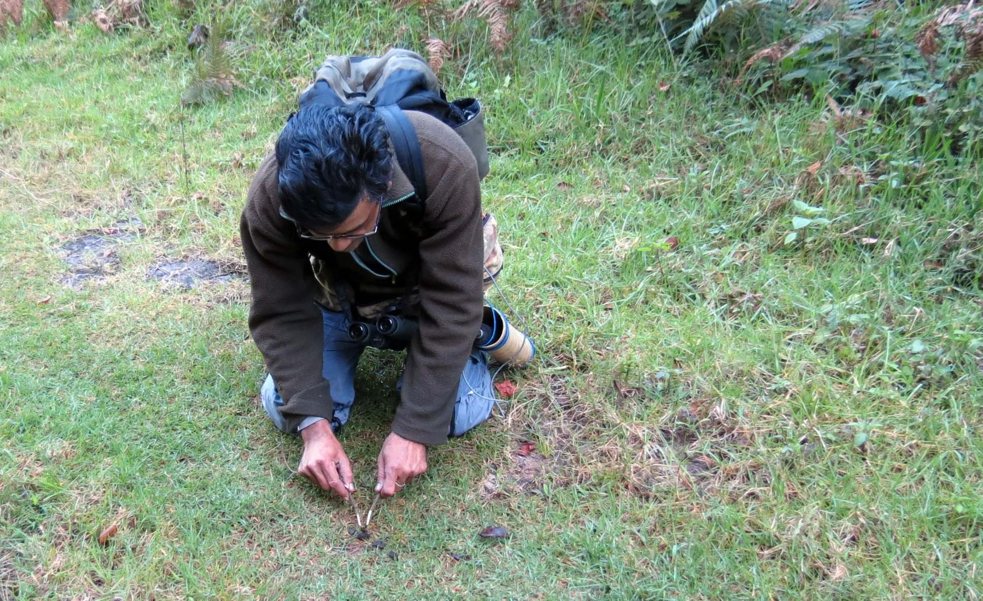 PAMPADUM SHOLA NATIONAL PARK INDIA - VATTAVADA (40).JPG