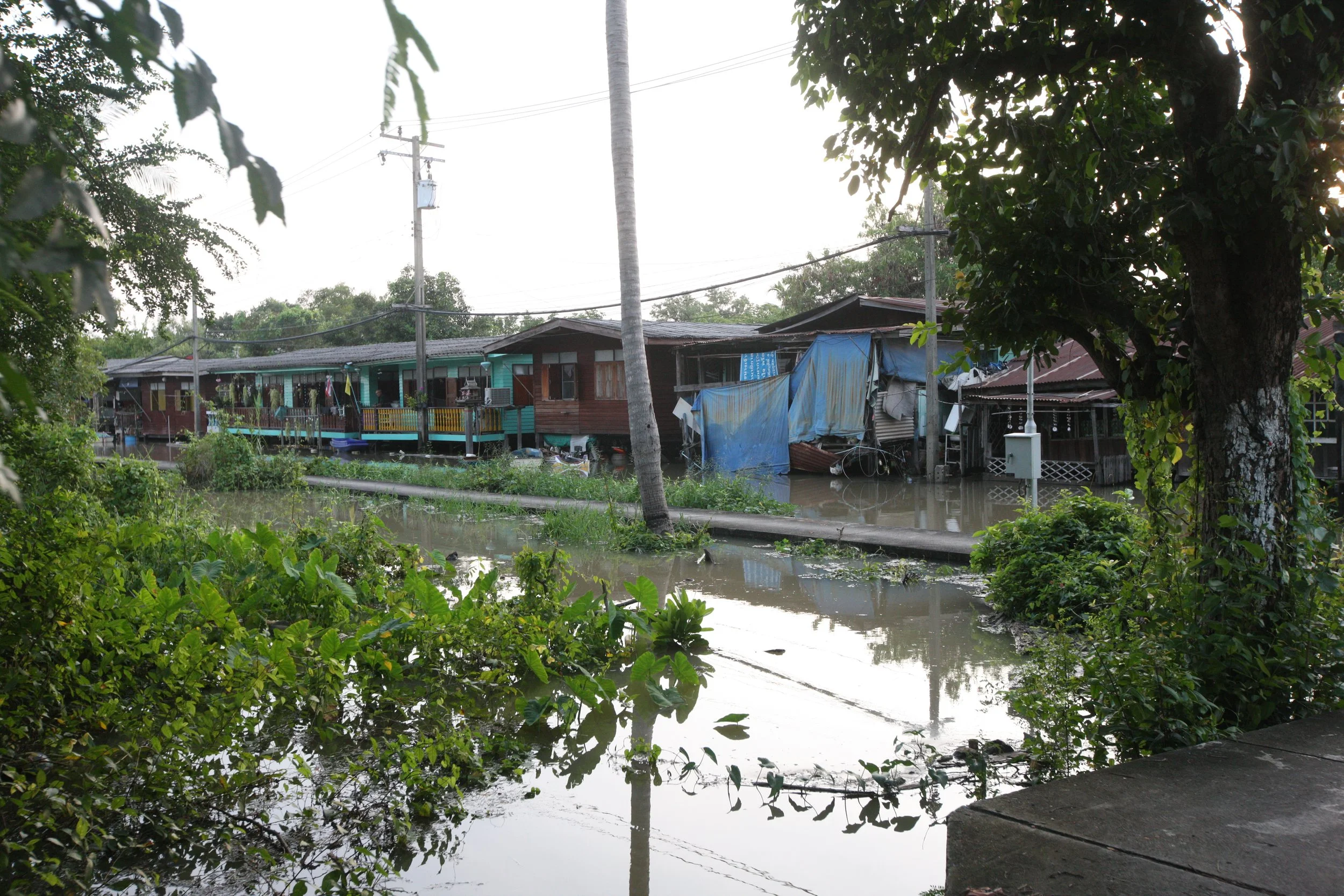 2015 Family scenes in Bangkok (47).JPG